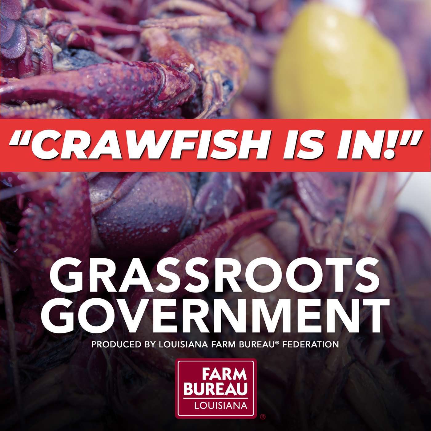 Grassroots Government -- Crawfish Is In!! episode artwork