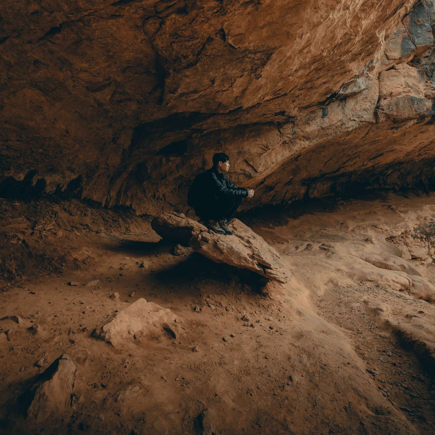 Embracing it All - Bansho Green