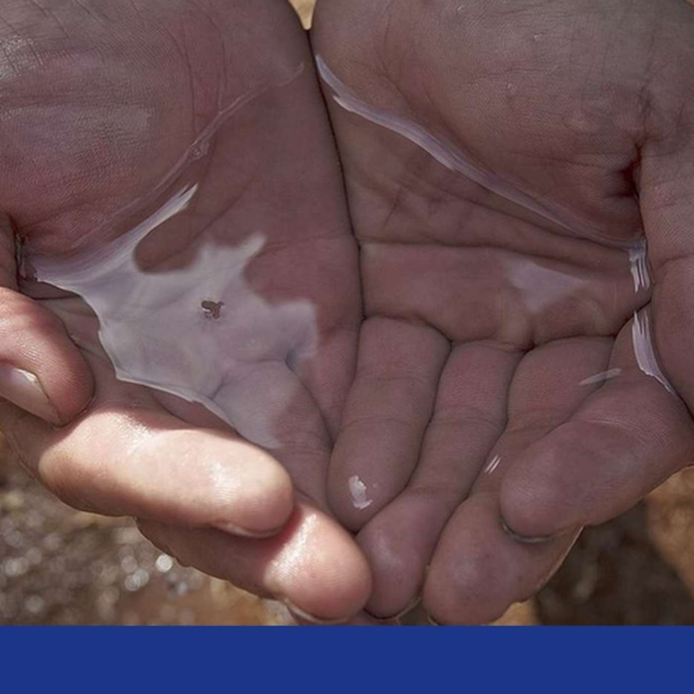 Germany and Canada Challenge China, Global Water Crisis Worsens, Polish President Vetoes Aid Law, EU Aims to Boost Mediterranean Trade, and more...