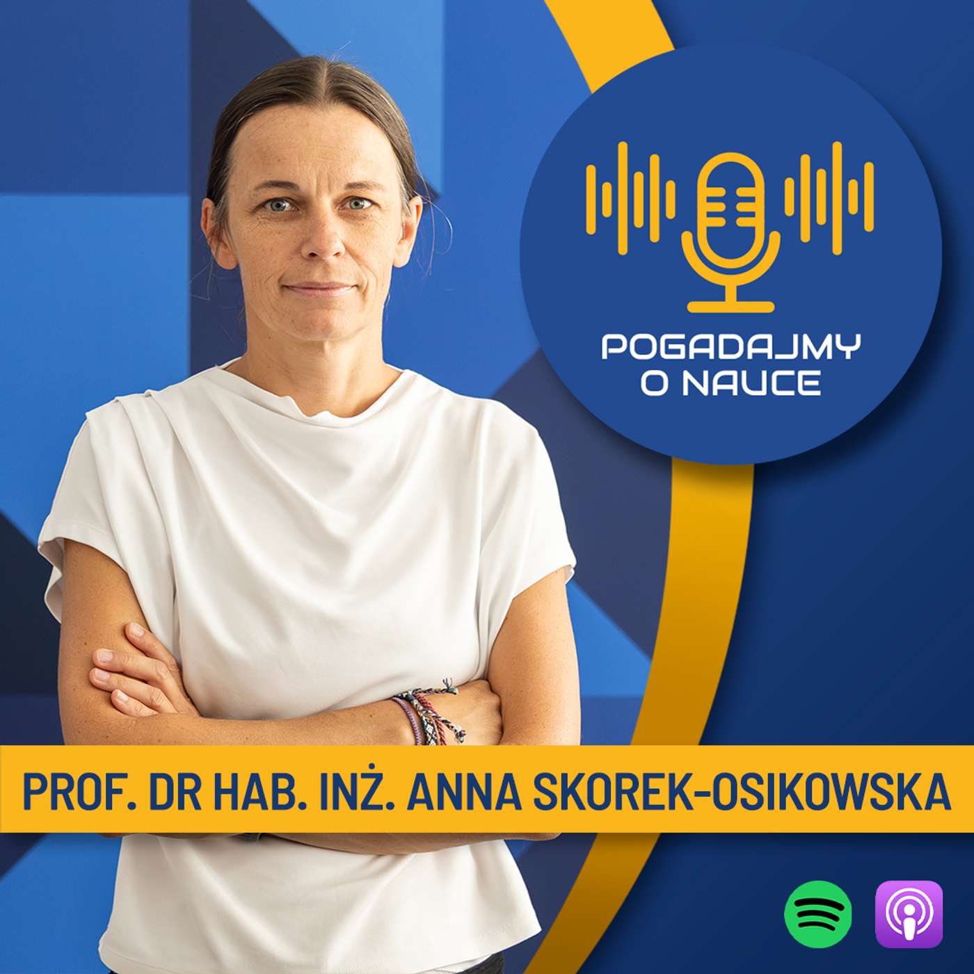 DREAM TEAM, czyli jak zdobyć dwa granty europejskie w pół roku episode artwork