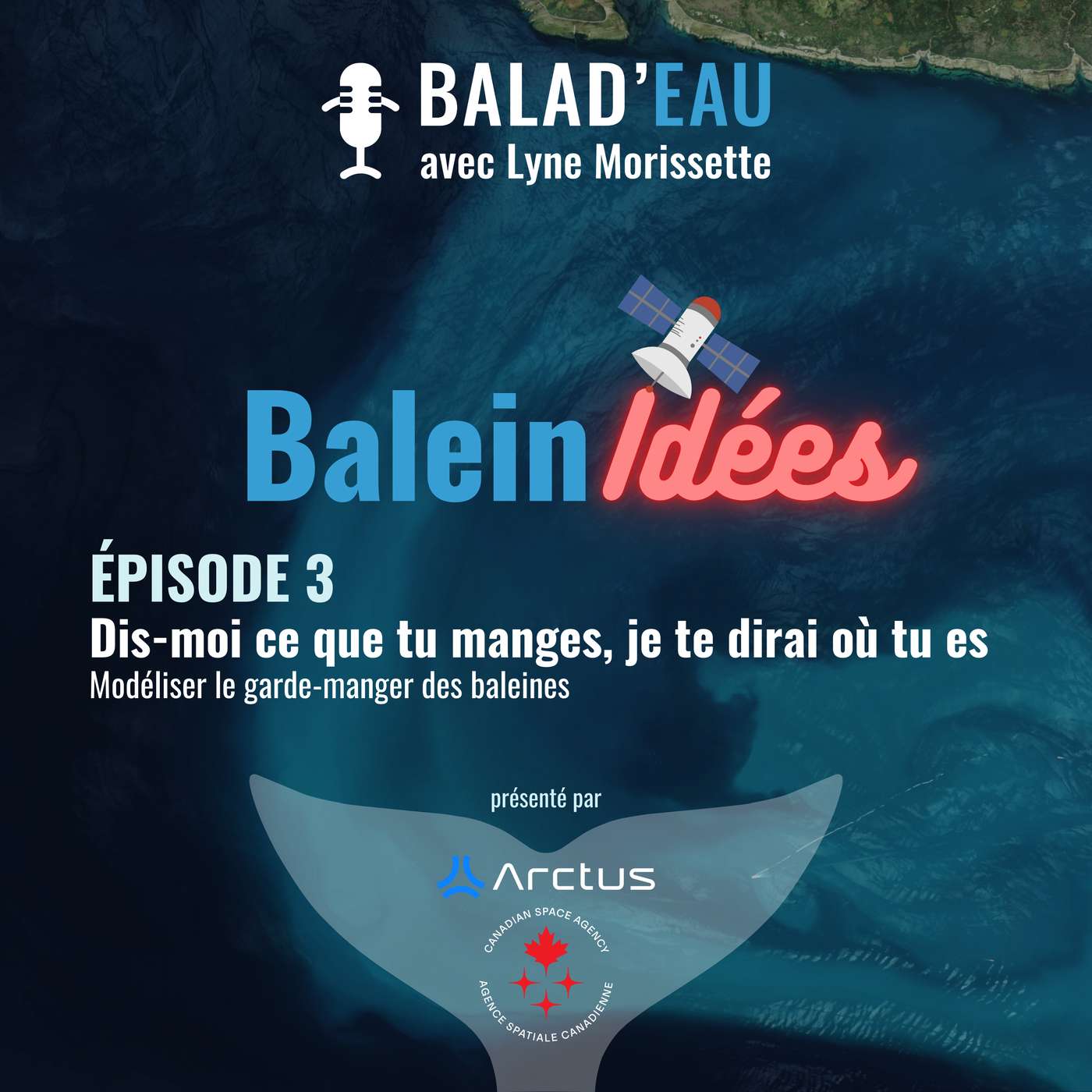 BaleinIDÉES: Dis-moi ce que tu manges, je te dirai où tu es... modéliser le garde-manger des baleines.