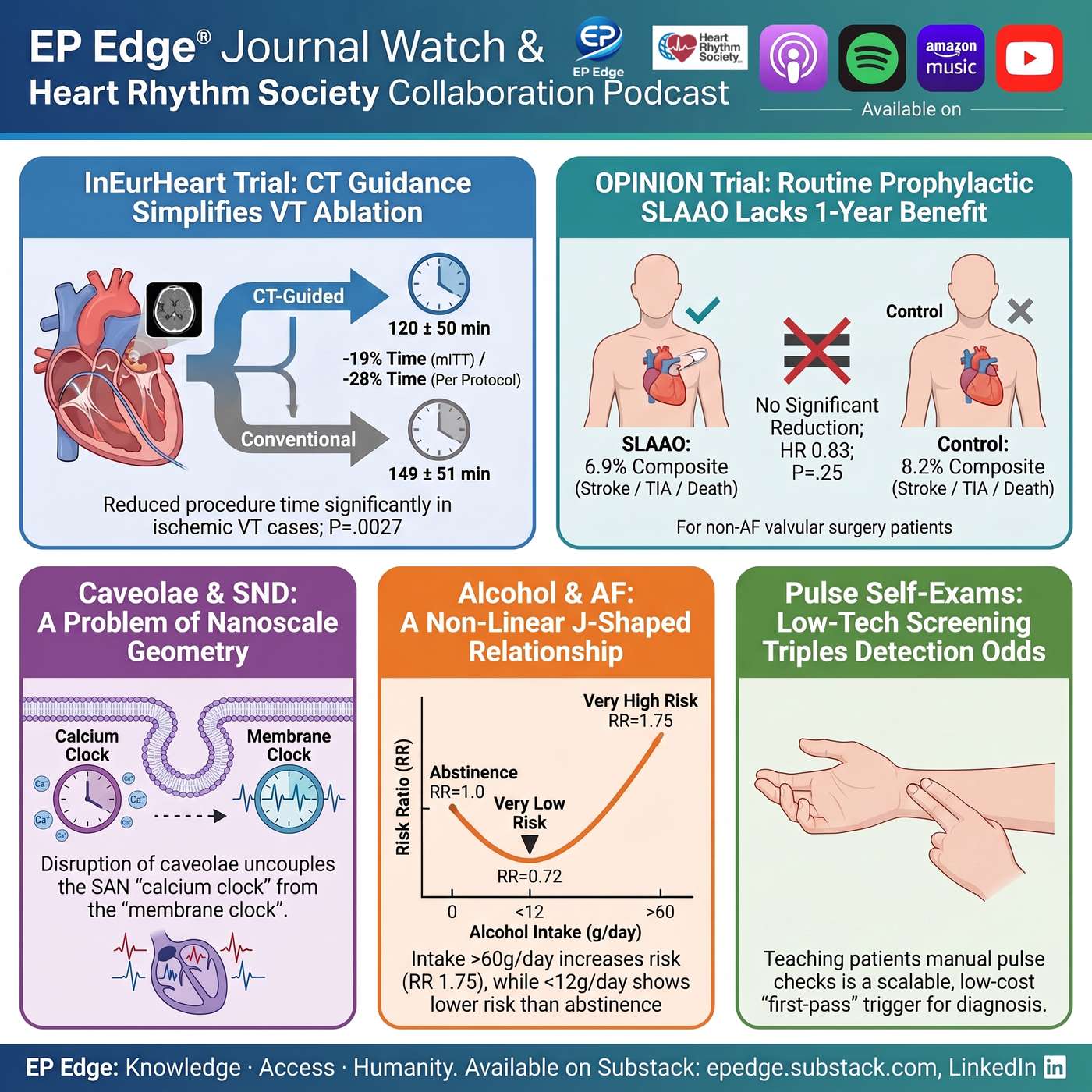 EP Edge × HRS Podcast: CT-Guided VT Ablation & LAA Closure Without AF: InEurHeart and OPINION, Caveolae, Alcohol and AFib, Pulse check and Afib Diagnosis