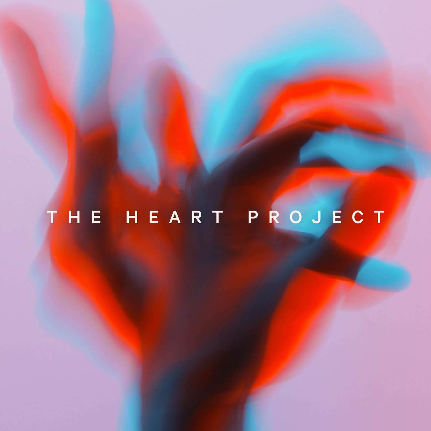 The Heart Project - Joel Wade The Heart Project - Joel Wade