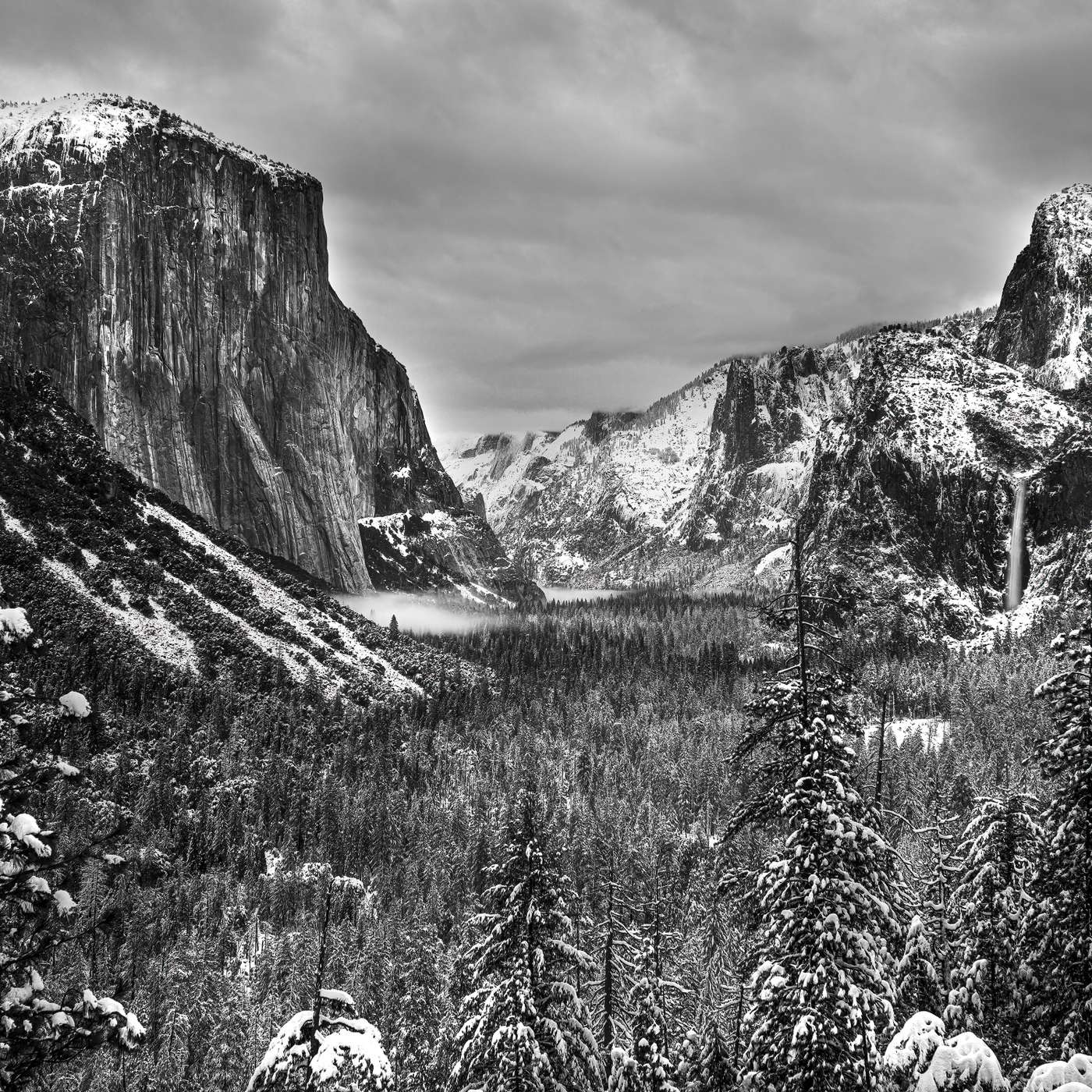 The Nature Photography Podcast