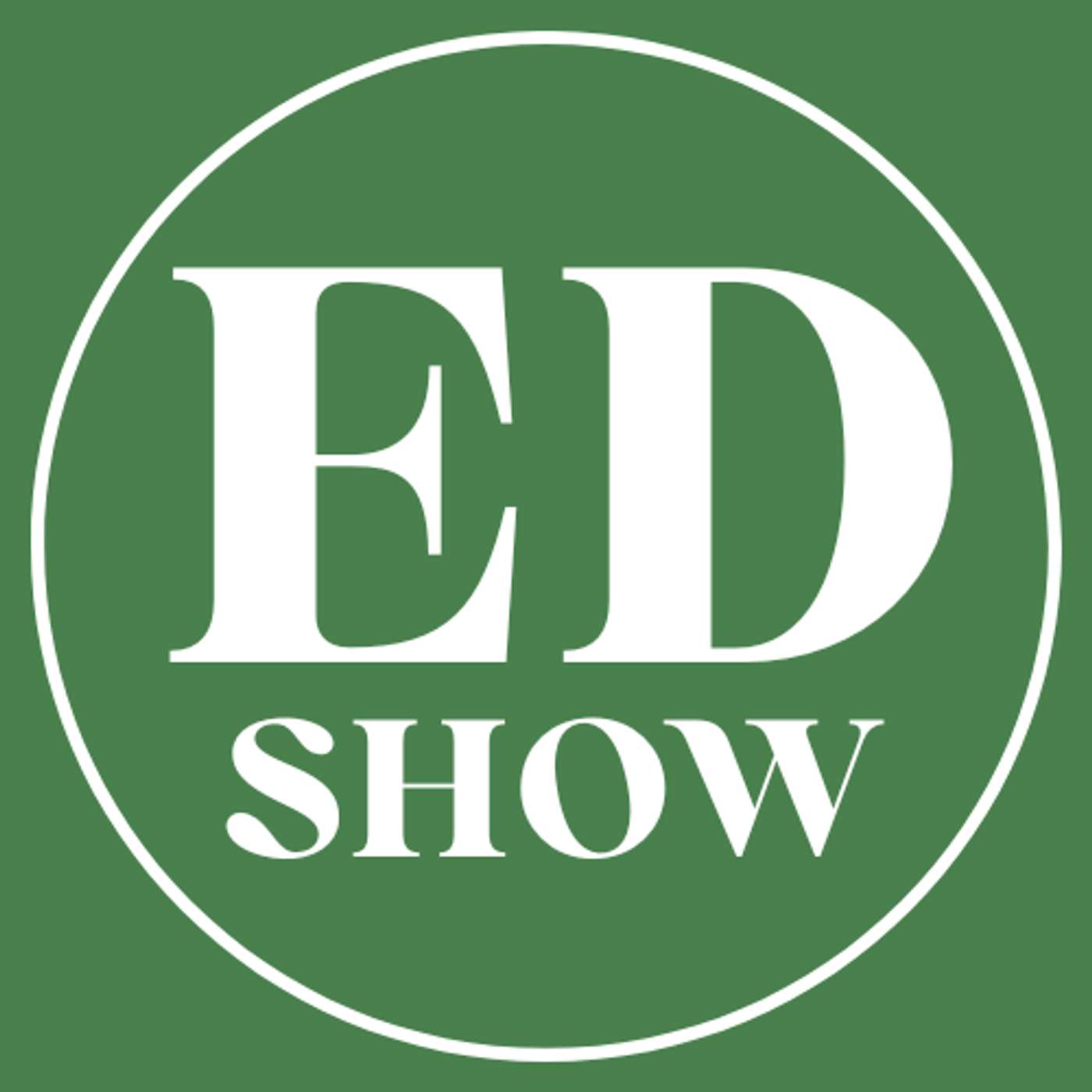 The Experience Designers