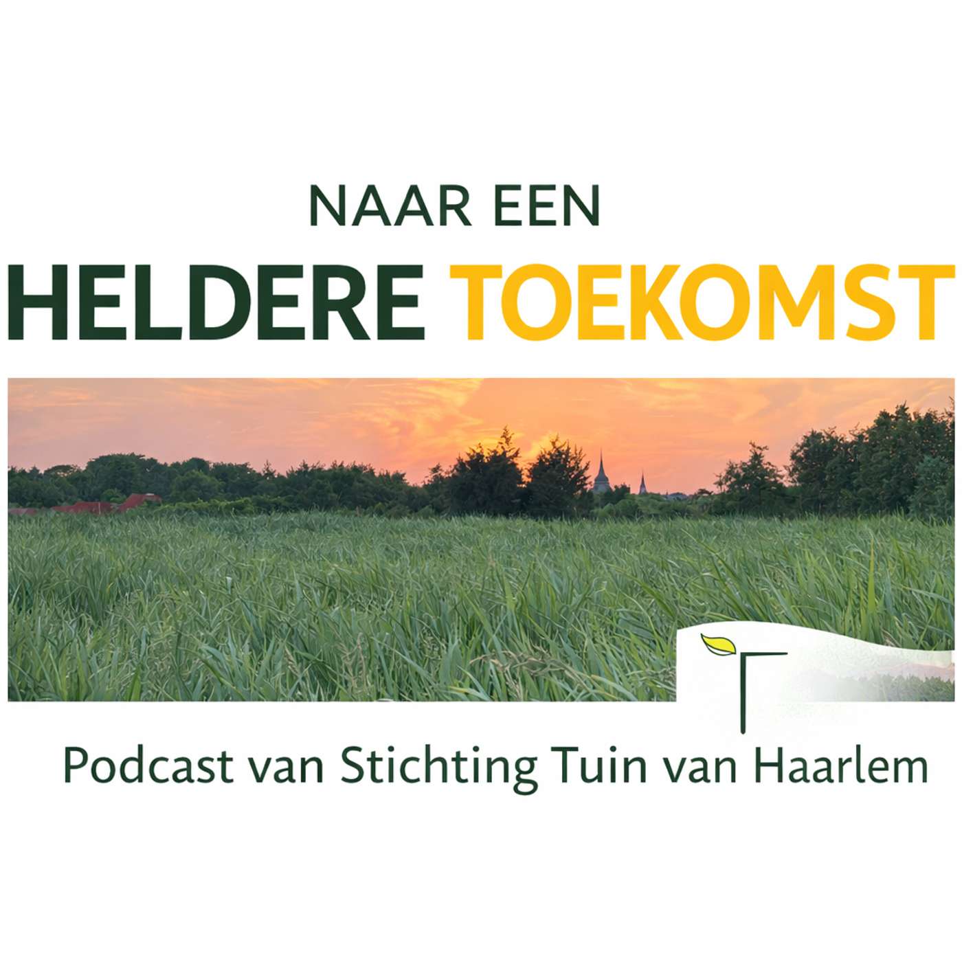 Naar een heldere toekomst