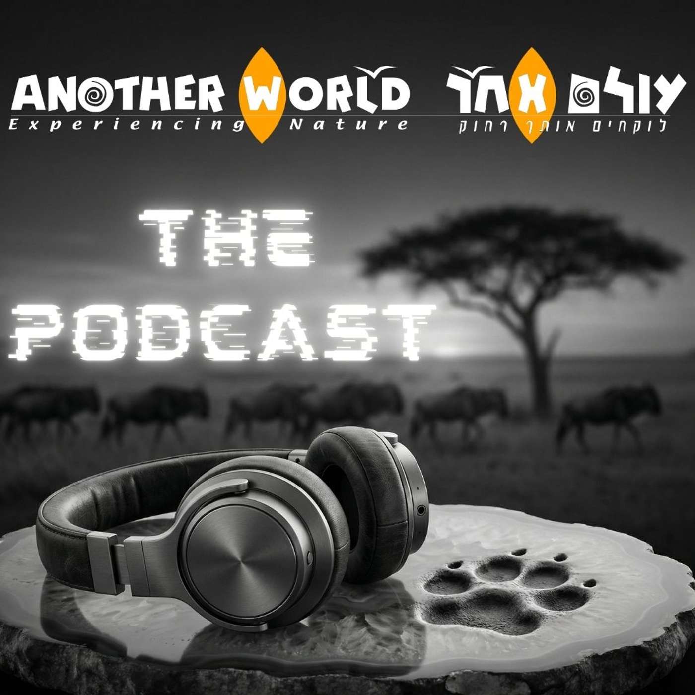 Another-World - עולם אחר