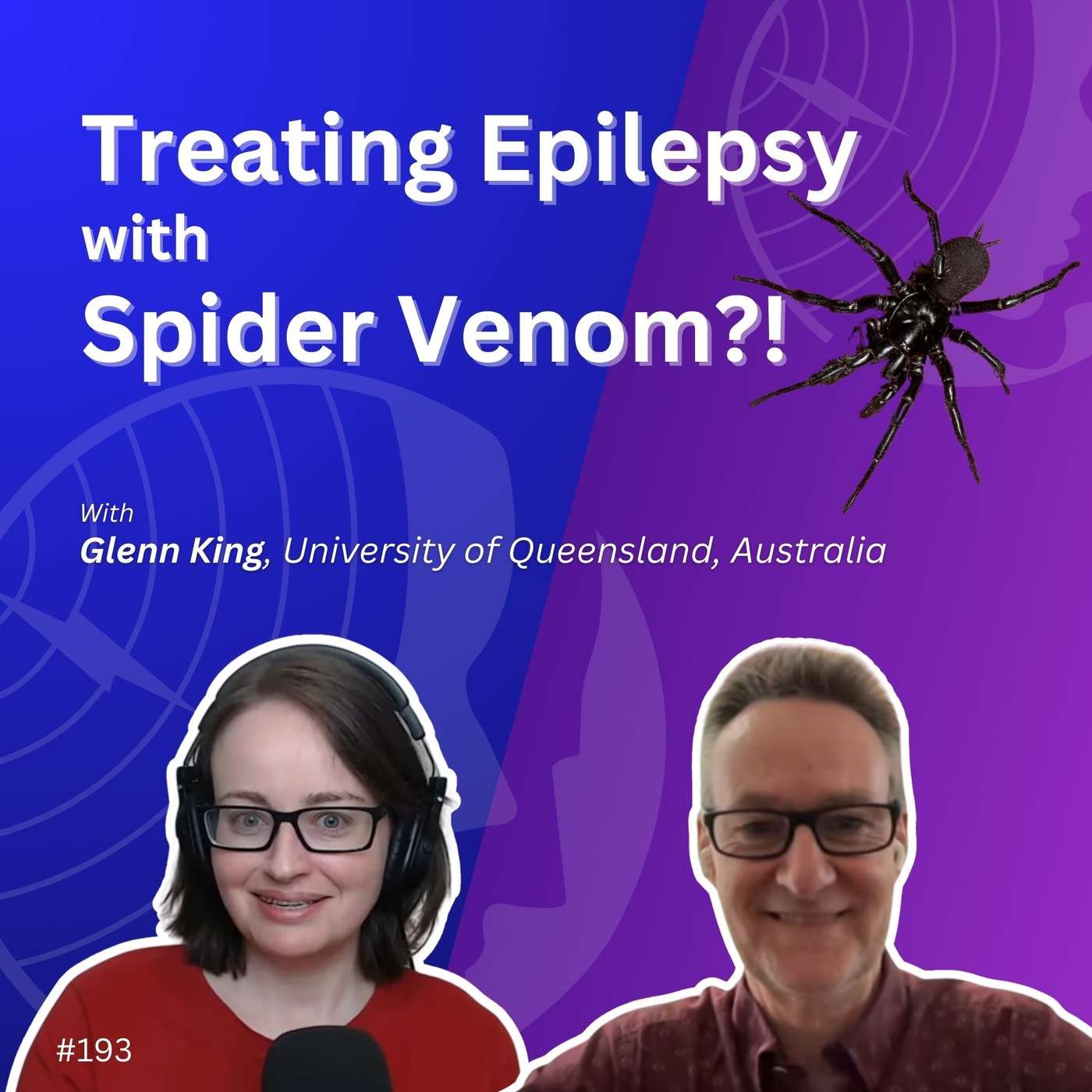 Treating Epilepsy With Spider Venom! - Glenn King episode artwork