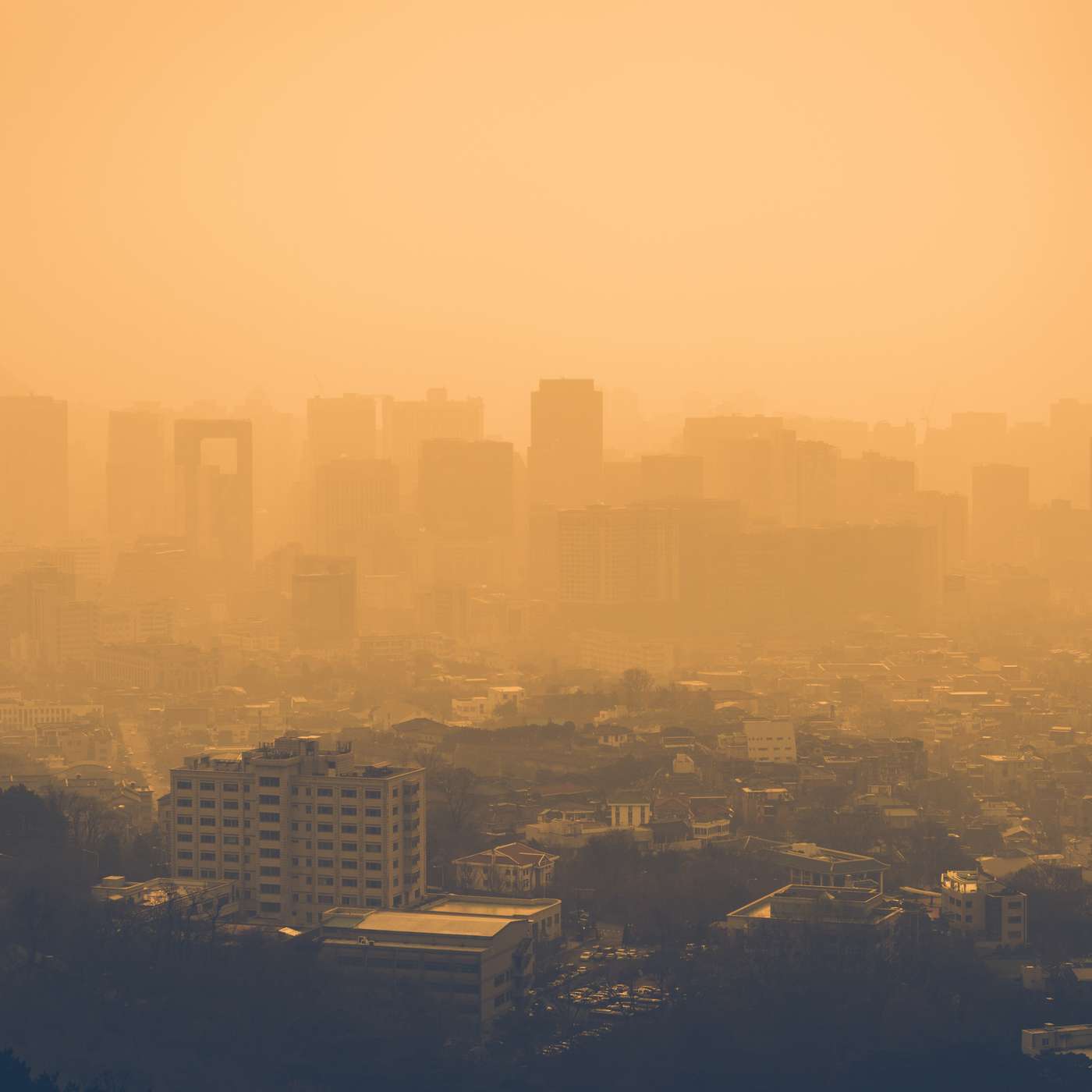 NSS Weekly: Breathing Easy—Looking for a Balance Between Industry and Healthy Neighborhoods episode artwork