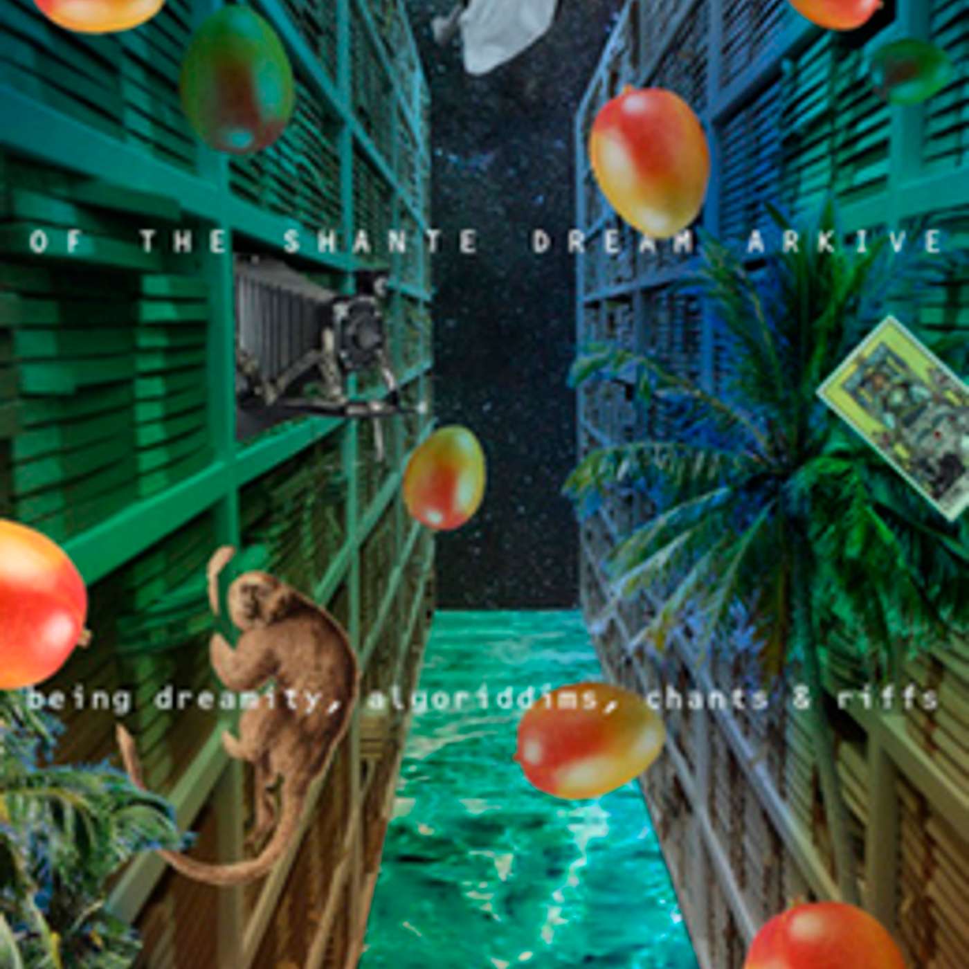 Afterhours at the Radio Bookclub: Marcia Douglas Afterhours at the Radio Bookclub: Marcia Douglas