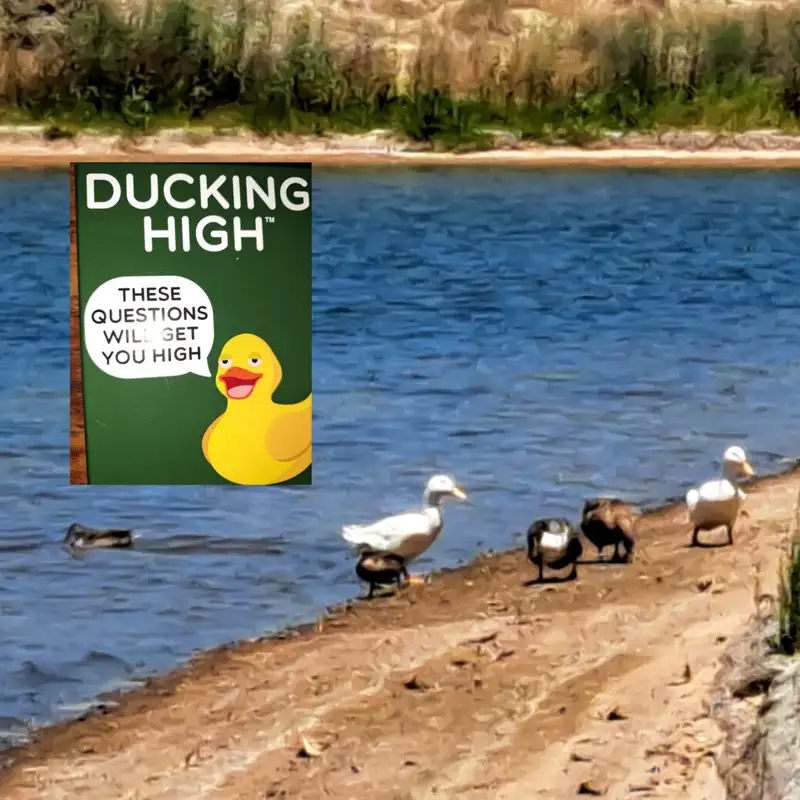 Duck Me, Duck You, Duck Around & Find Out pt.2