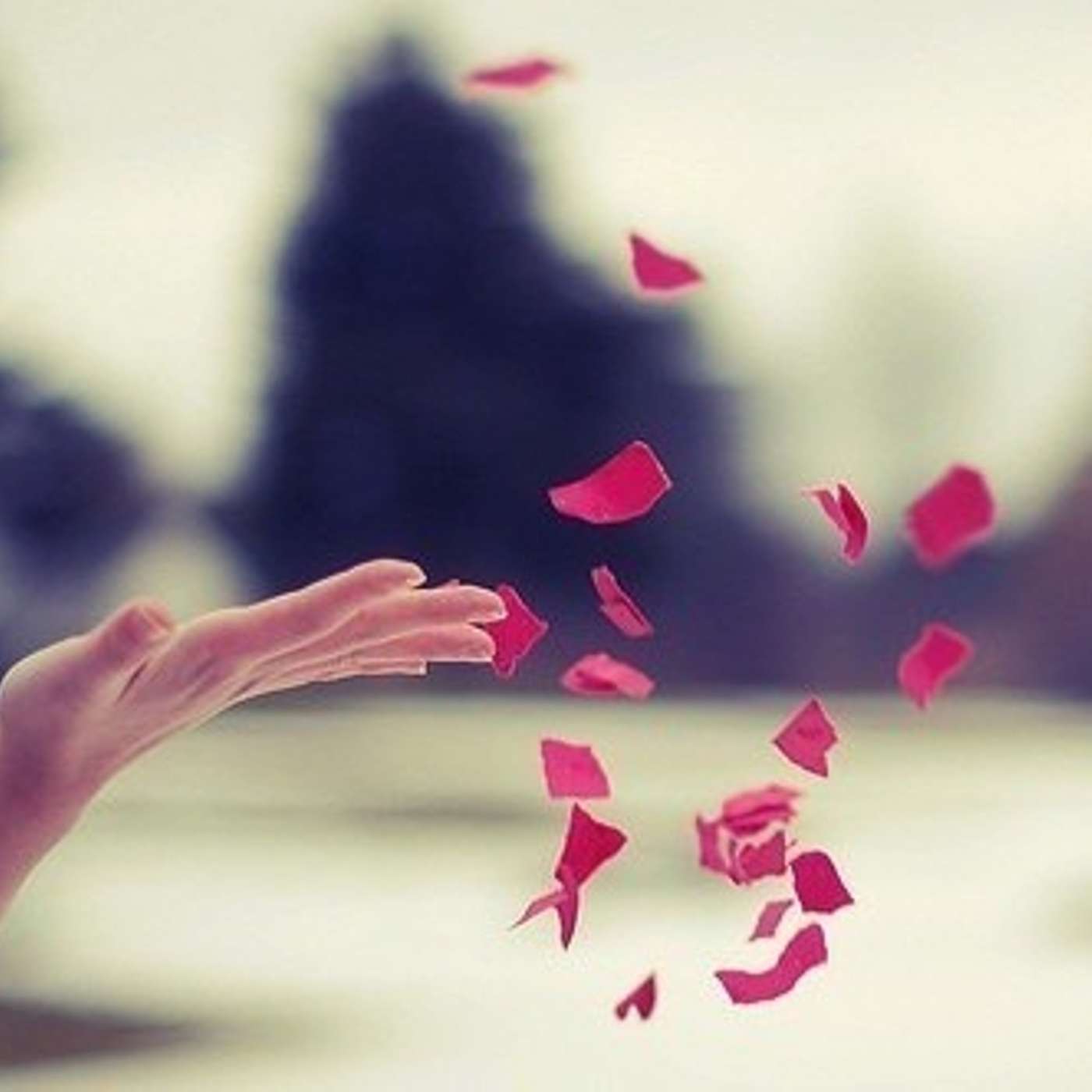 10 Things to Let Go When Making Significant Change episode artwork