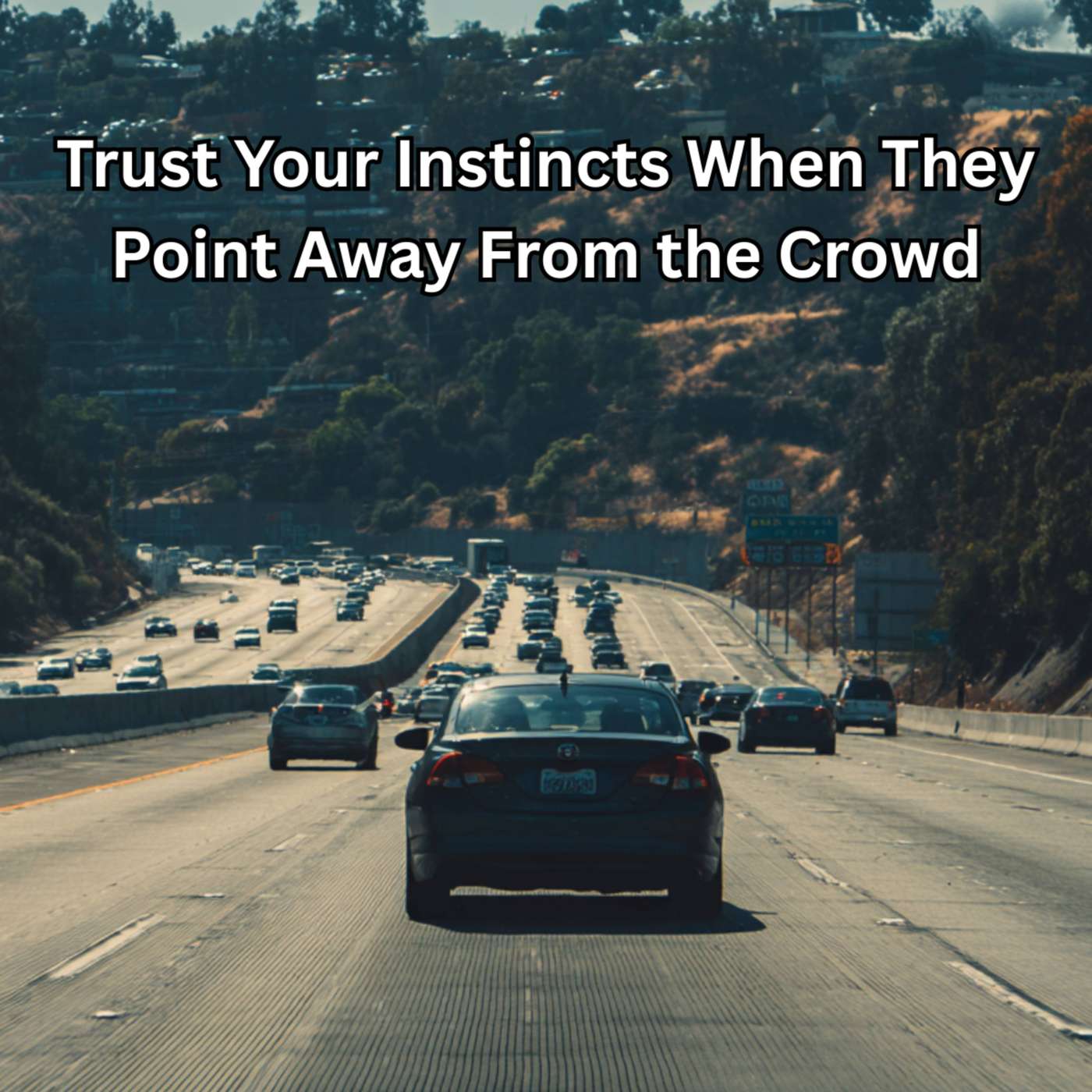 Day 142 - Trust Your Instincts When They Point Away From the Crowd episode artwork