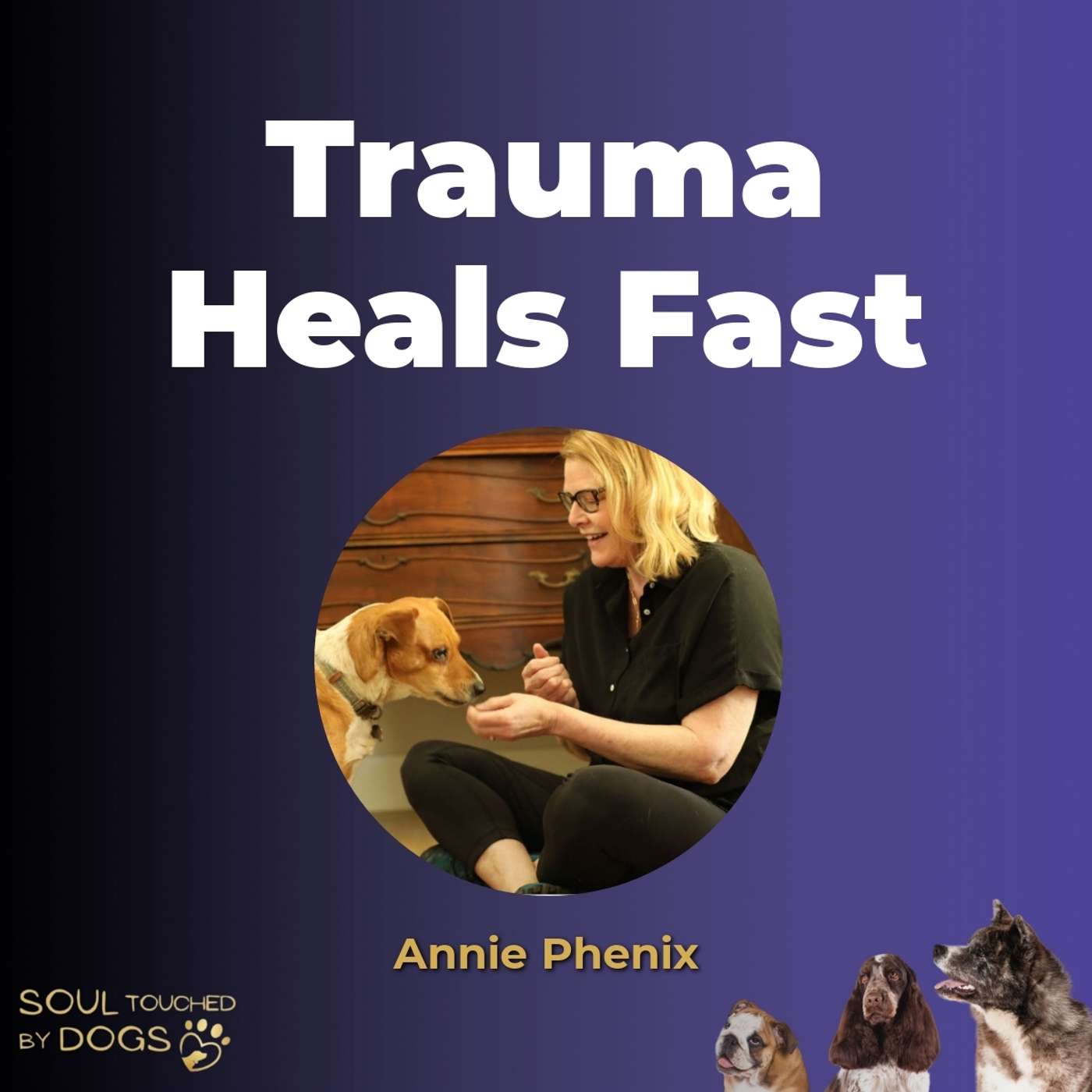 Heal The Nervous System: How Your Stressed Dog Transforms in 30 Days with Annie Phenix episode artwork