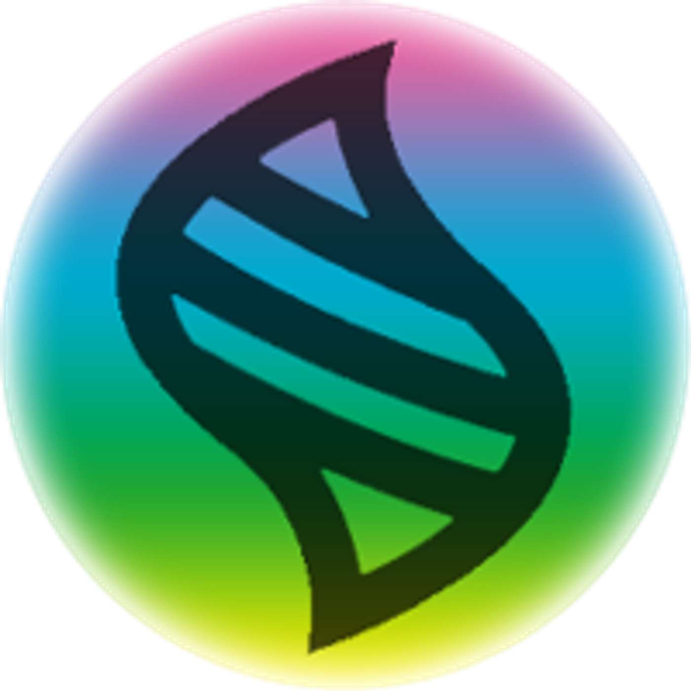 Every Mega Pokémon So Far