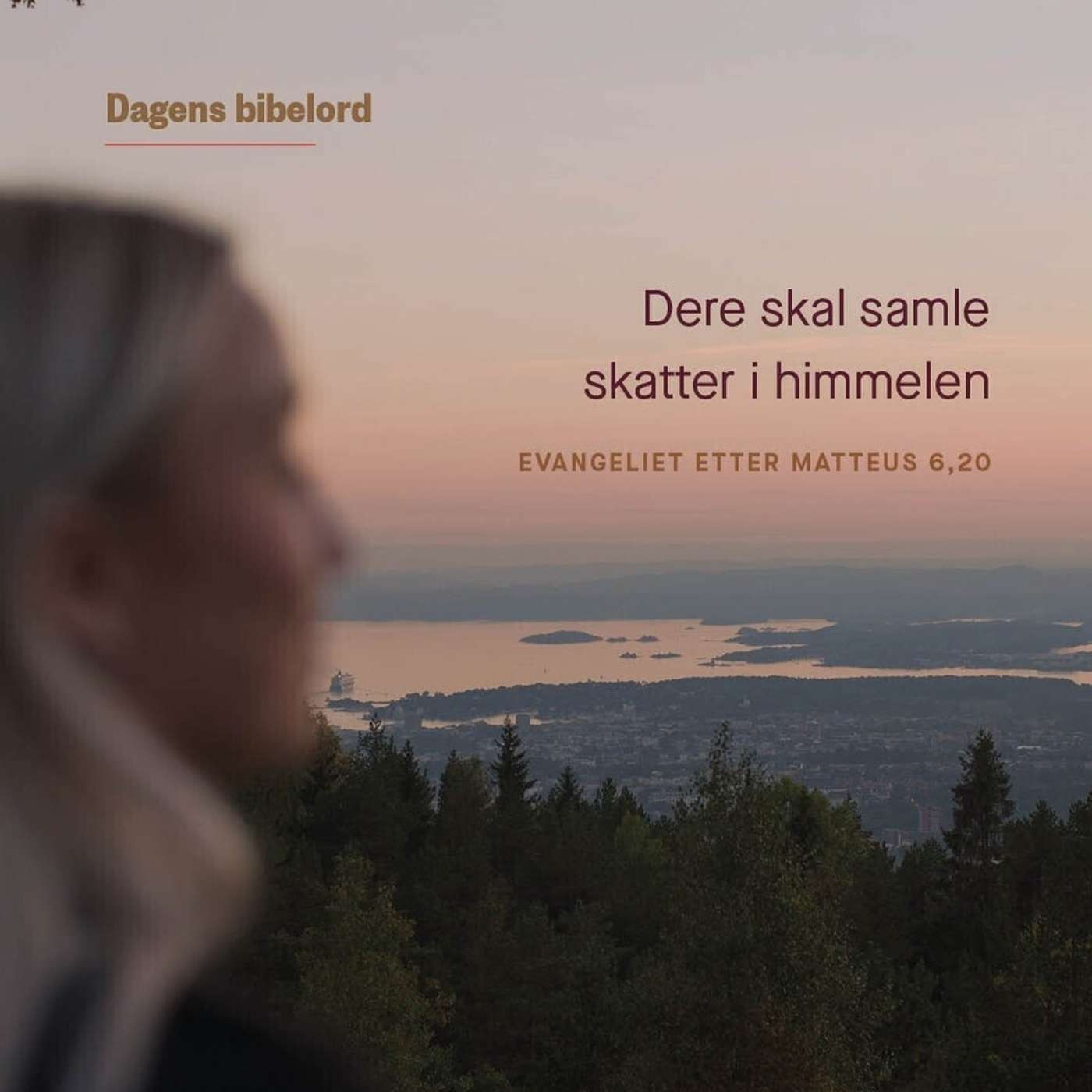Dagens bibelord 23. juli 2023 - Matt 6,19-24 episode artwork
