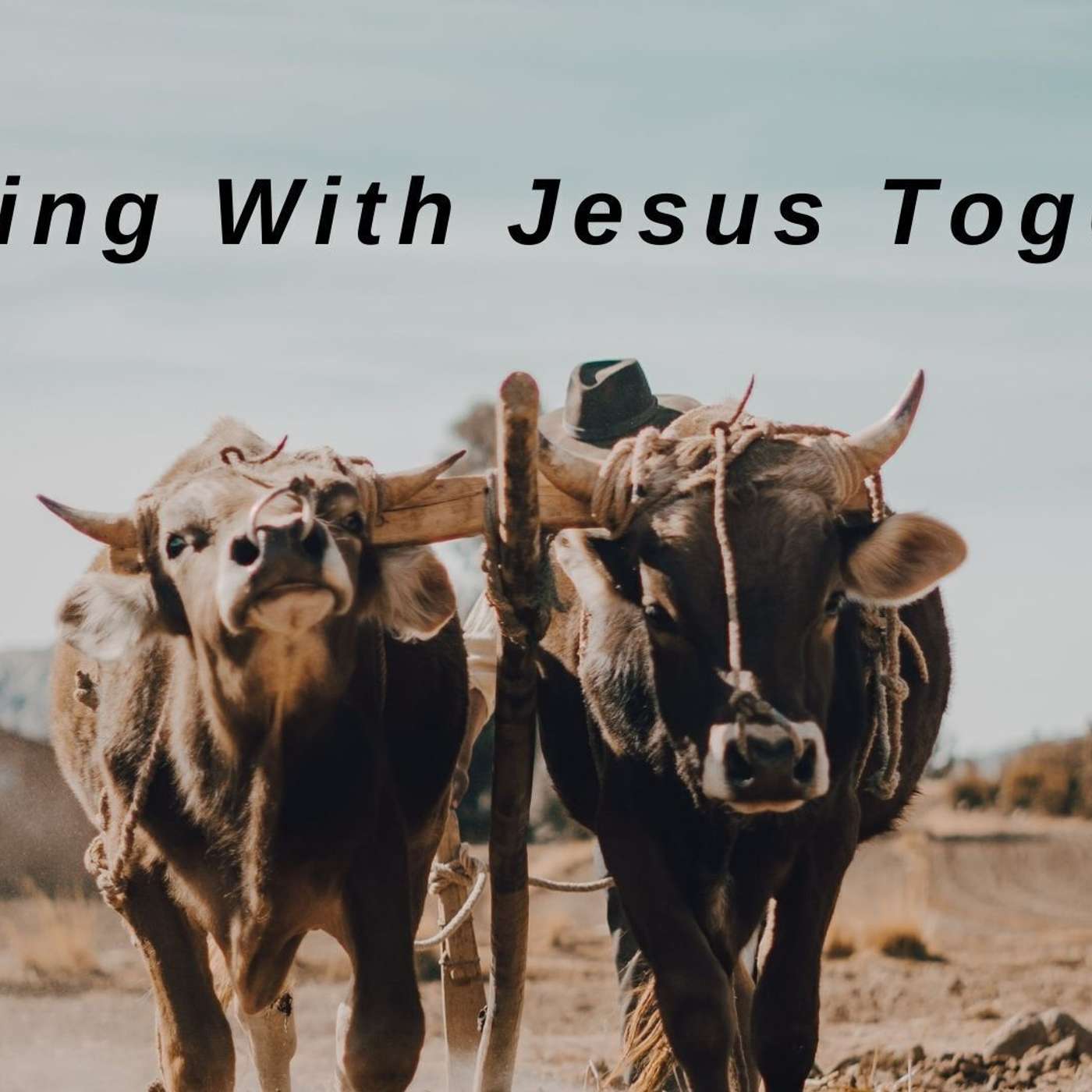 5 Circles of Church || Walking with Jesus Together || 02.18.24 episode artwork
