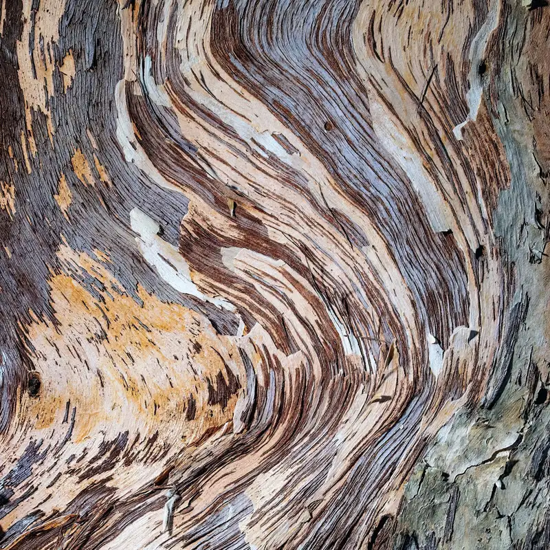 Whose University? Whose Culture? Interview with Professor Jennifer Barrett