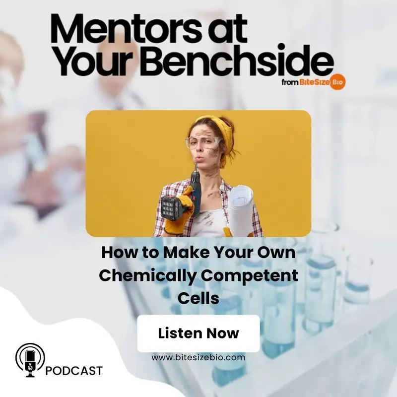 How to Make Your Own Chemically Competent Cells