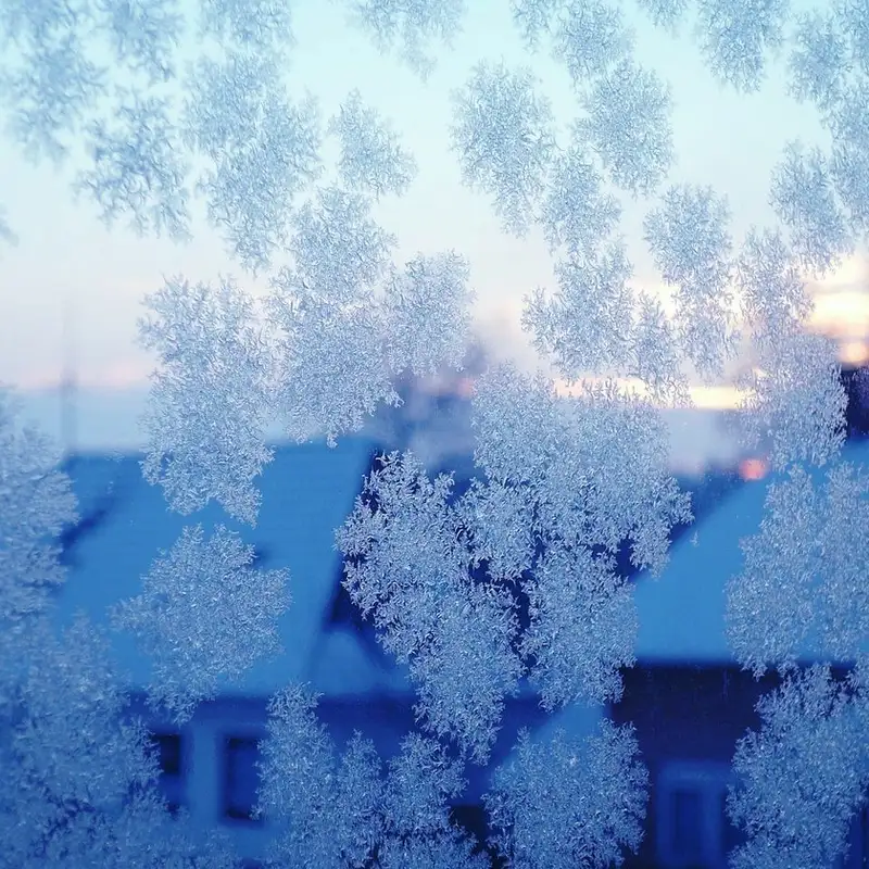  Windows 11's Default Browser, Turn Your Phone into a PC, and Fix Windows 10 Freezing Issues 