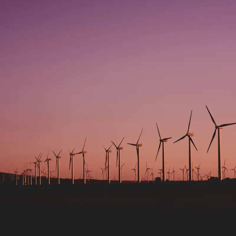 Écologie - Le développement durable une cause qui nous touche tous