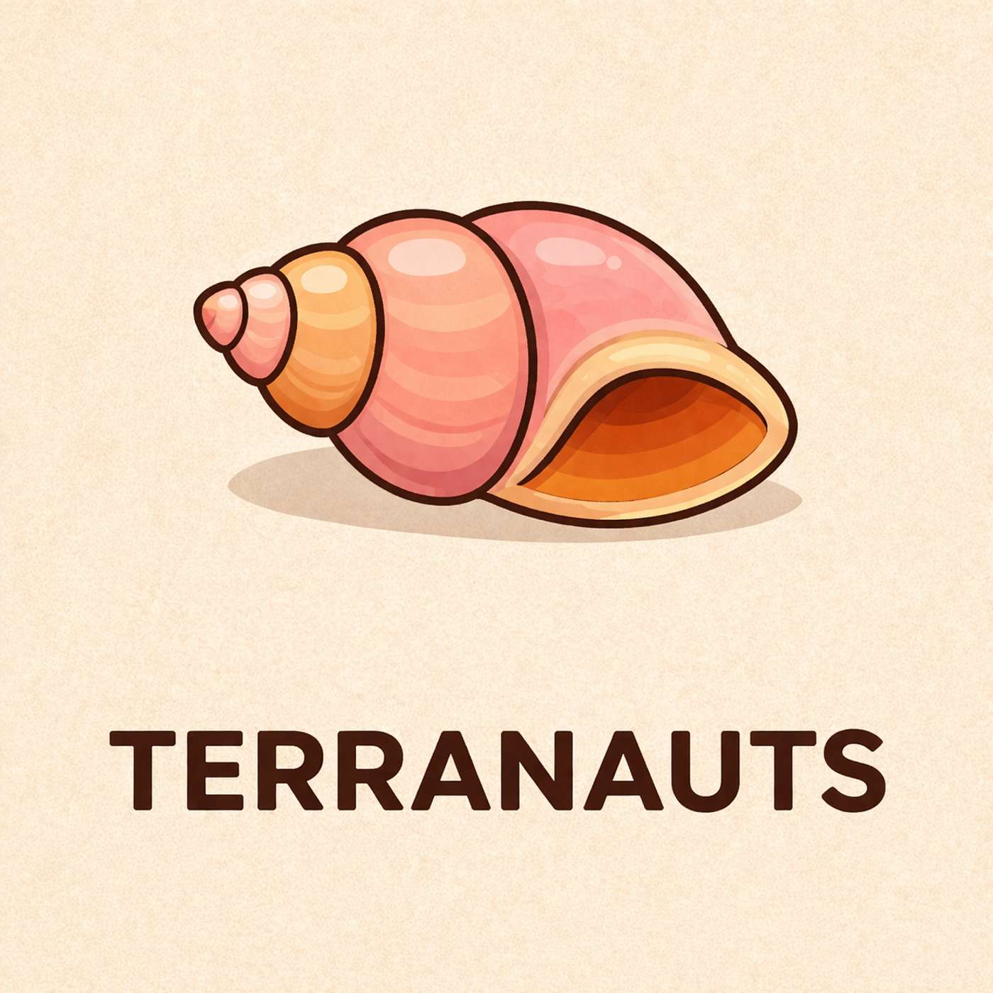 Seashells!