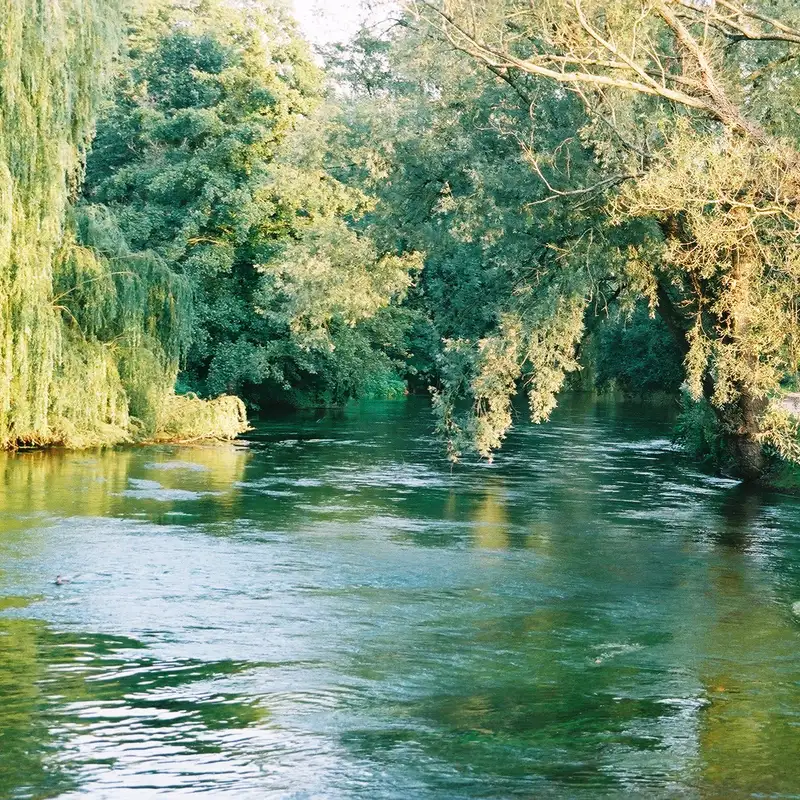 One Minute to Midnight: Saving England’s Chalk Stream Salmon
