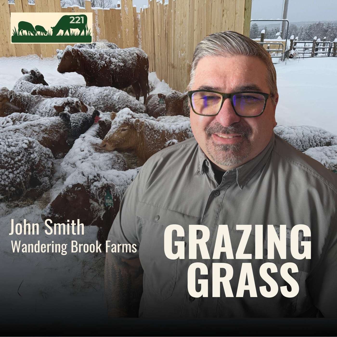 Vermont Grass-Fed: Can Southern Cattle Thrive Up North?