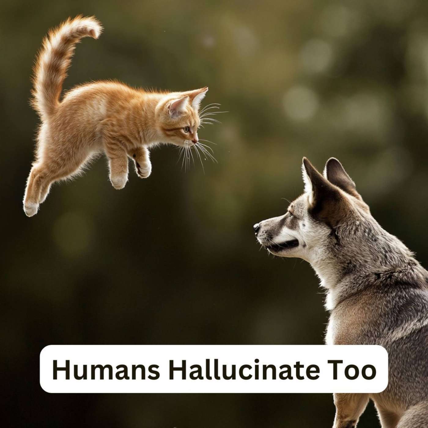Day 343 - Humans Hallucinate Too episode artwork