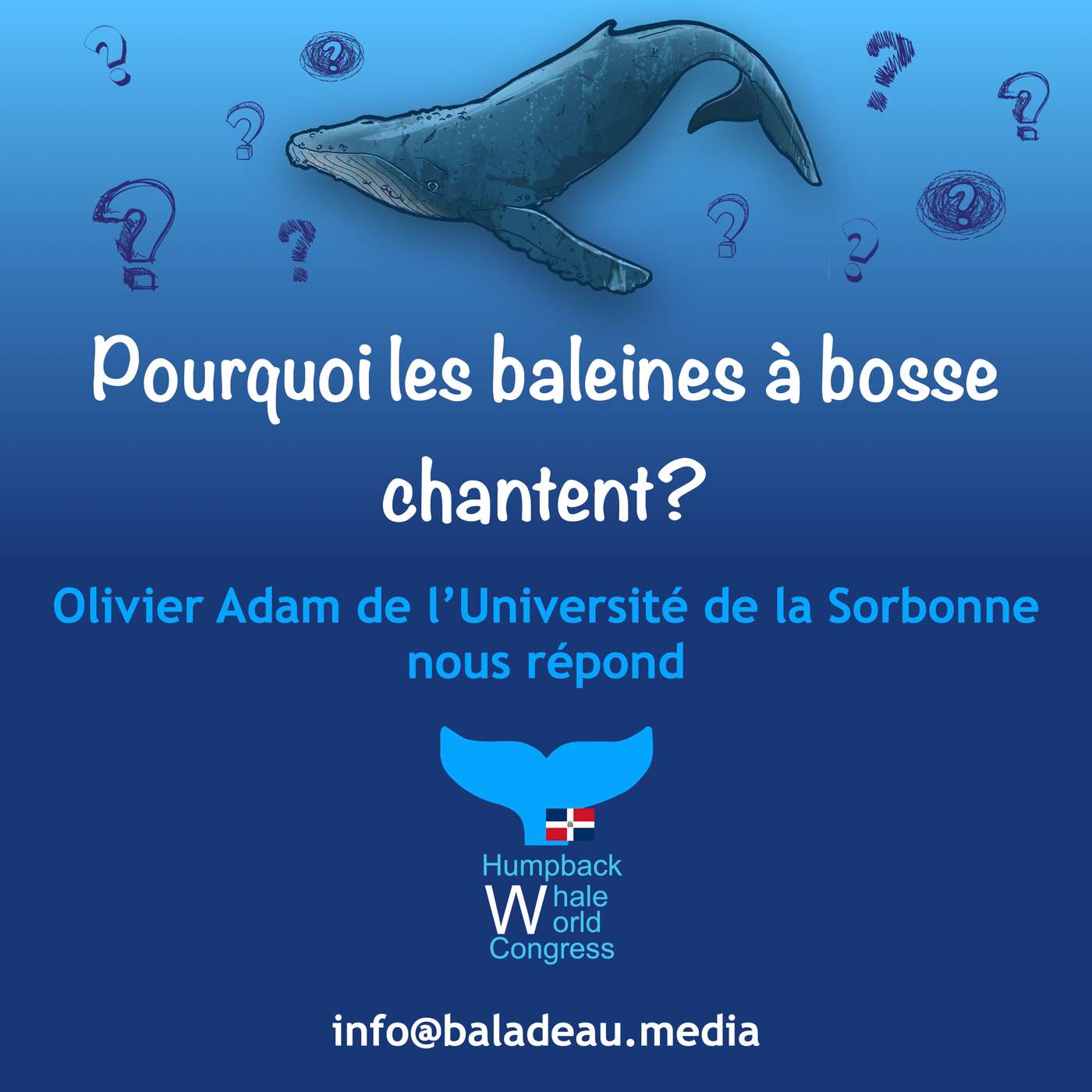 Vignette de l’épisode Pourquoi les baleines à bosse chantent?