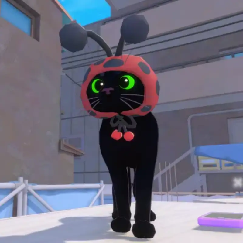 13 - Val Hawes of Little Kitty, Big City