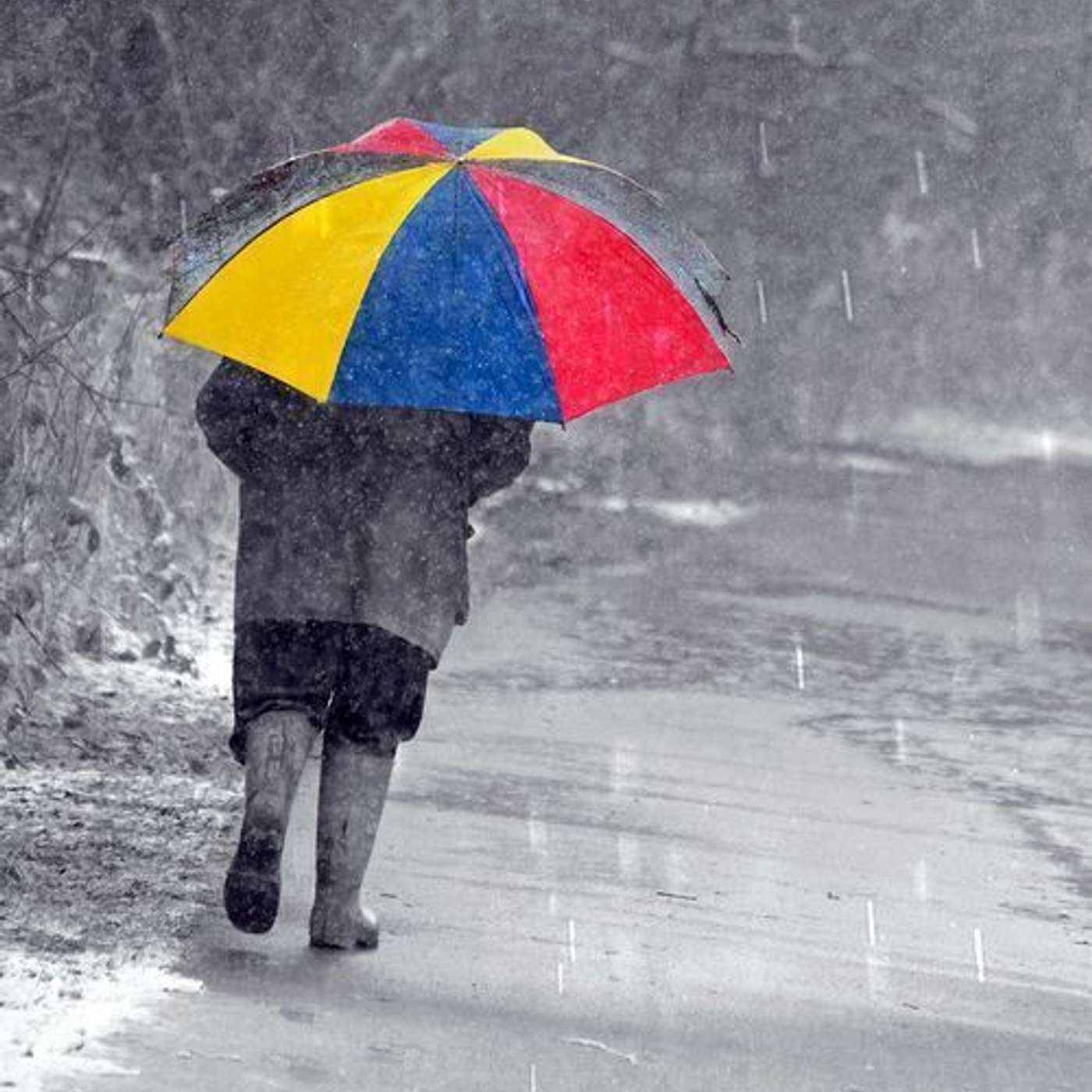Rainy Day Radio episode artwork
