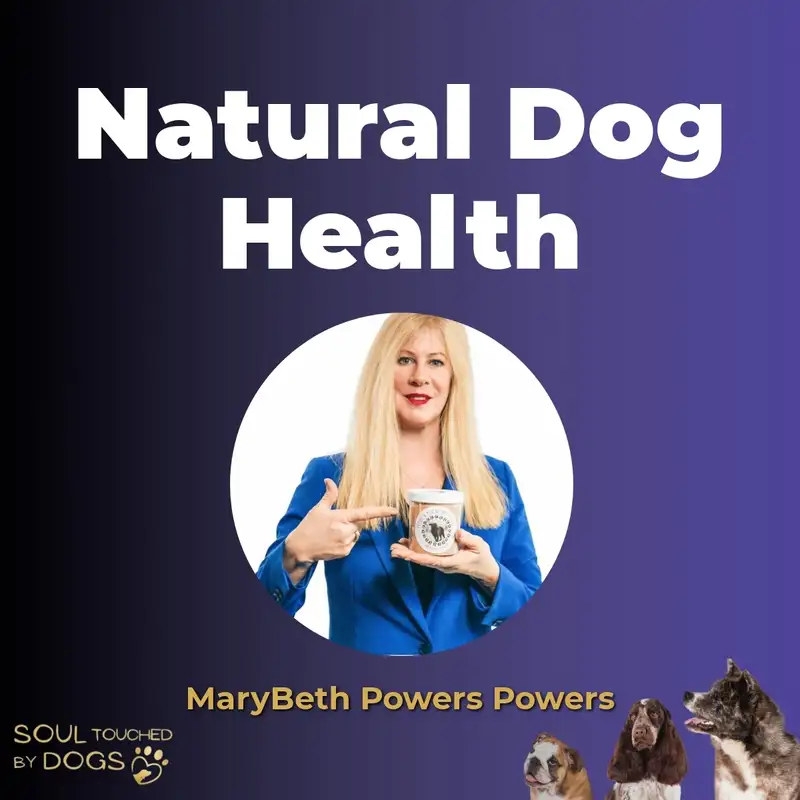 Turmeric for Dogs: From Cancer Diagnosis to Three Extra Years with MaryBeth Powers