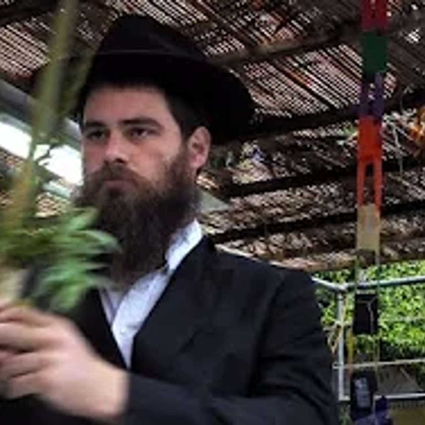 הסיר אזיקונים שמחזיקים את הסכך, והסכך עף והזיק▪️ הרב נחמנסון ▪️ (בית כנסת חב"ד כפר סבא)***