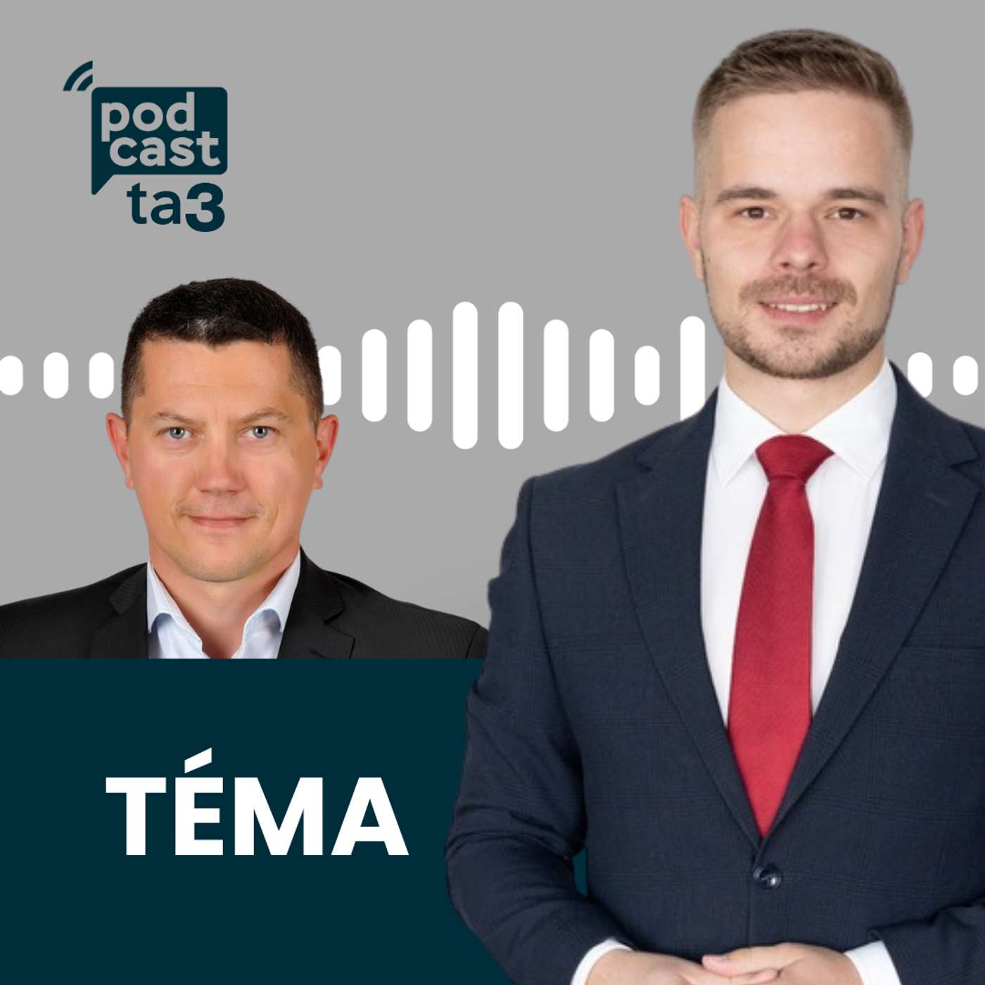 Téma: Peter Molda - Finančné výsledky a elektrina z vody episode artwork