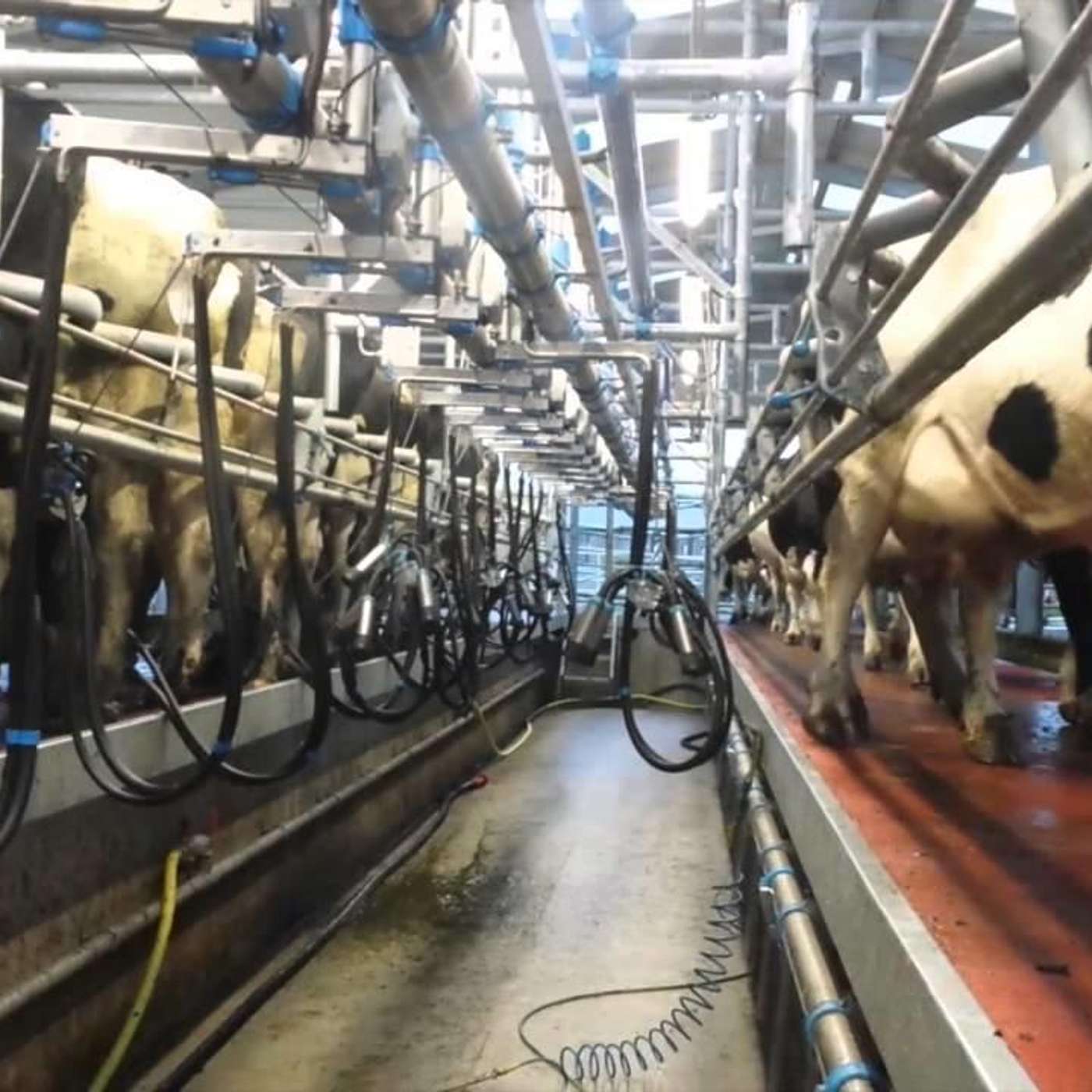 Top tips for successful farm planning