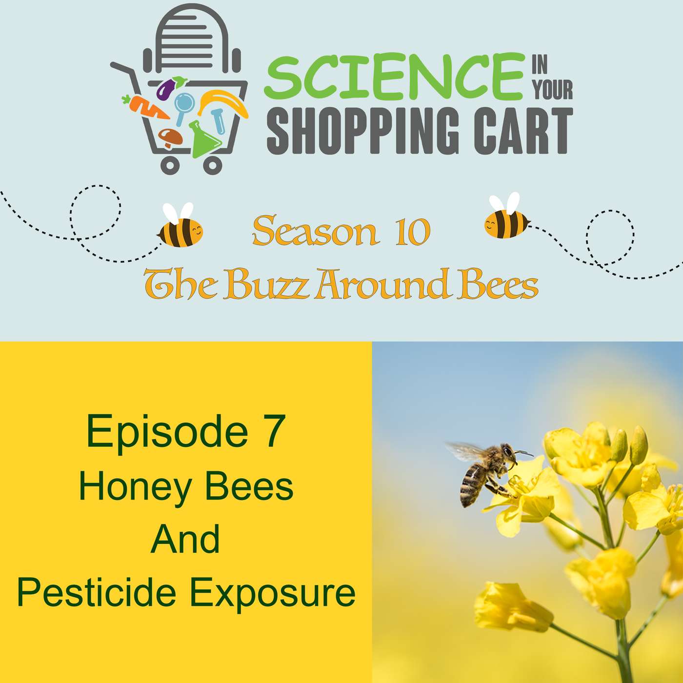 Science In Your Shopping Cart