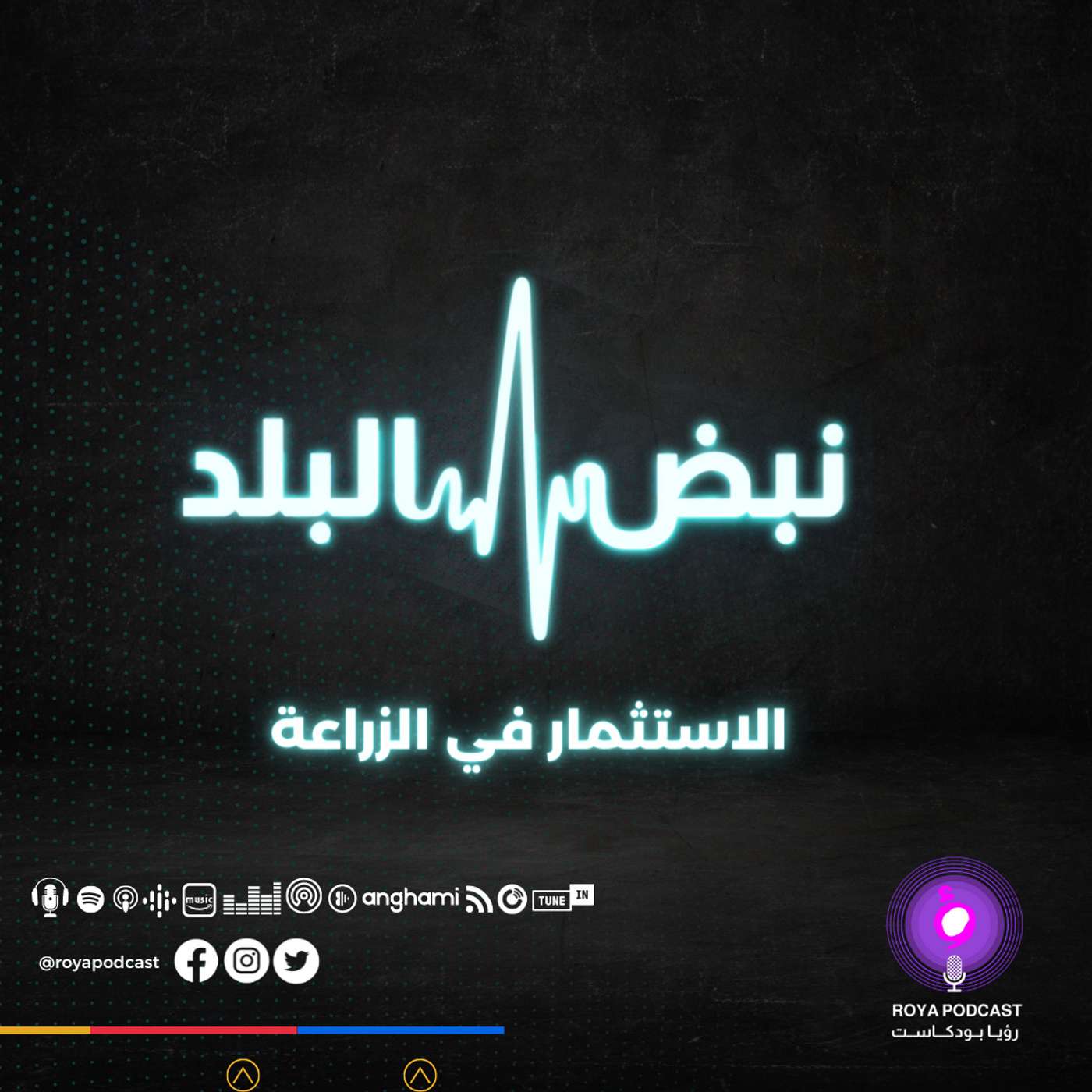 الاستثمار في الزراعة
