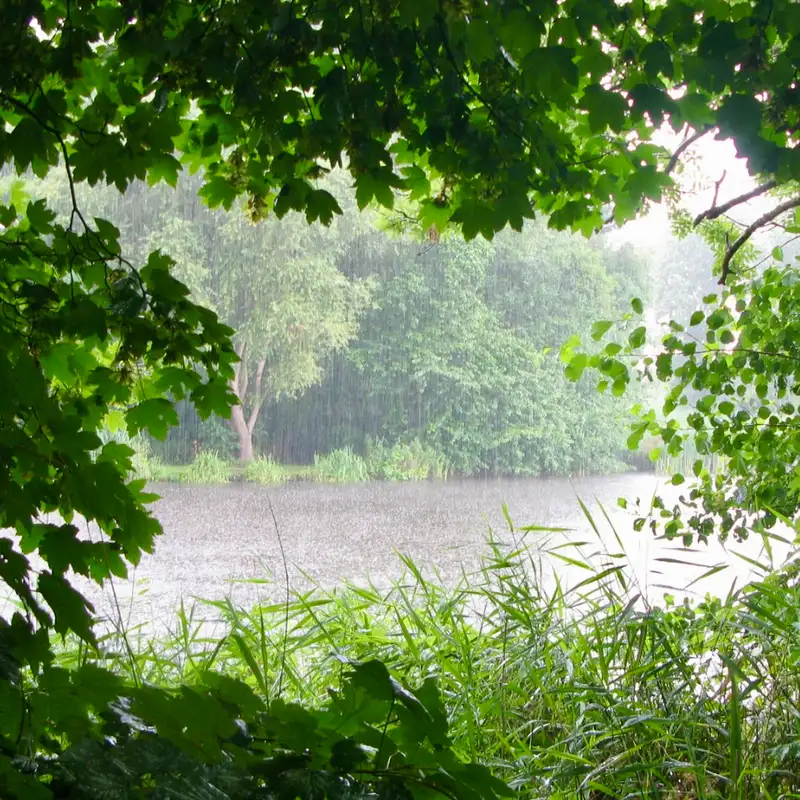 I Think It DID Rain Today, actually