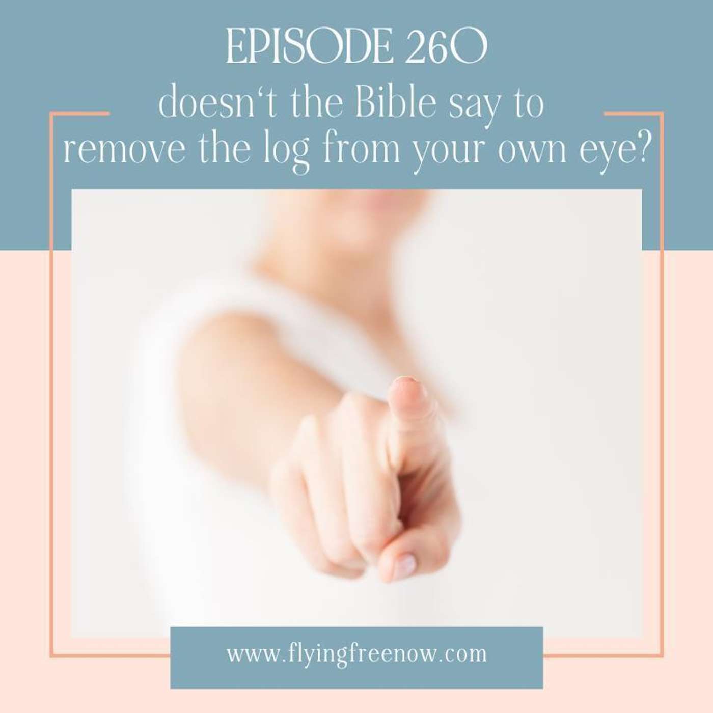 Doesn't the Bible Say to Remove the Log From Your Own Eye? [260]