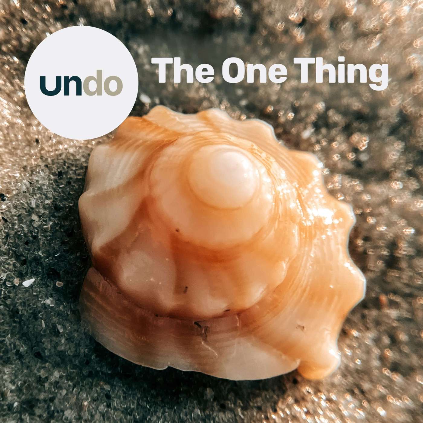 How to turn your side hustle into your main gig – “The One Thing”