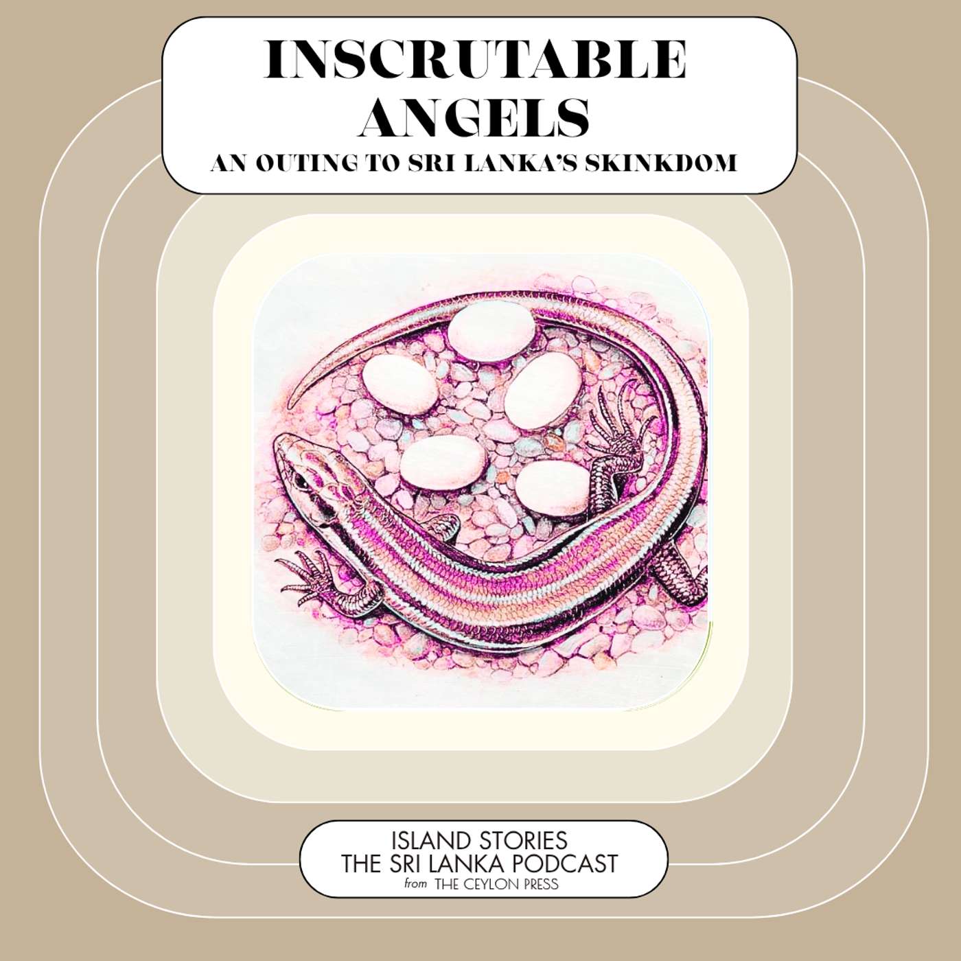 Inscrutable Angels: an Outing to Sri Lanka’s Skinkdom