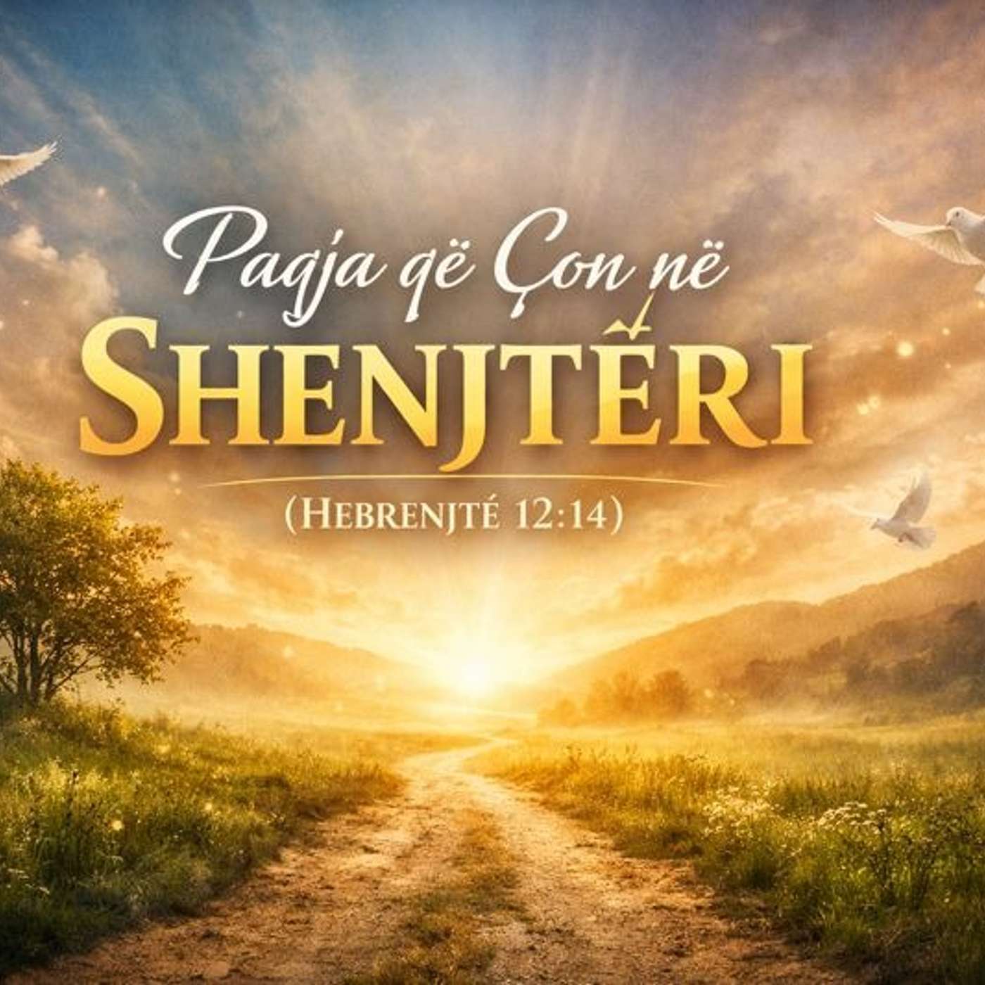 Udha e Verteta dhe Jeta - TruthFM Albania