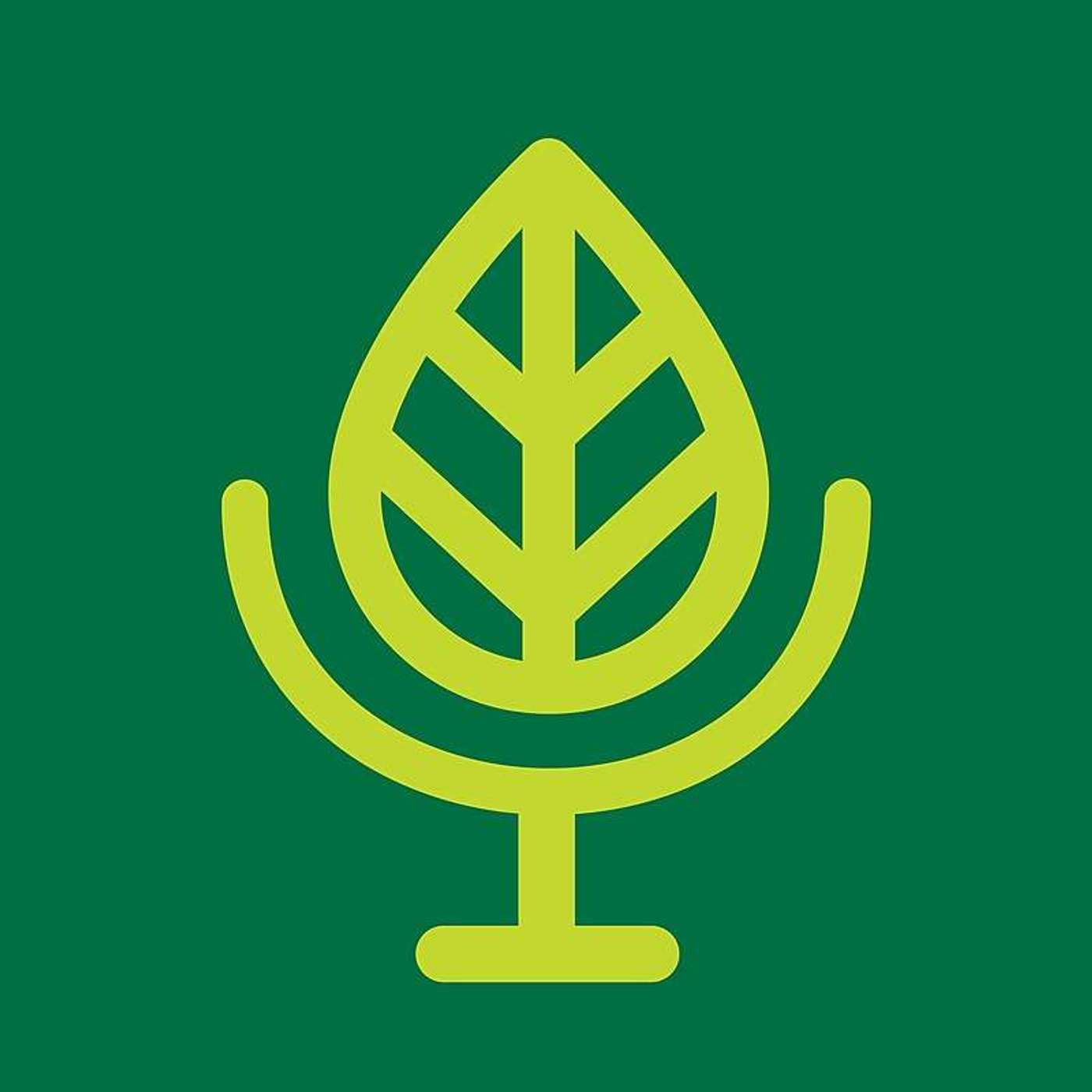 Revisiting: I'm Dreaming of a Green Christmas with Special Guest Janina Fuchs