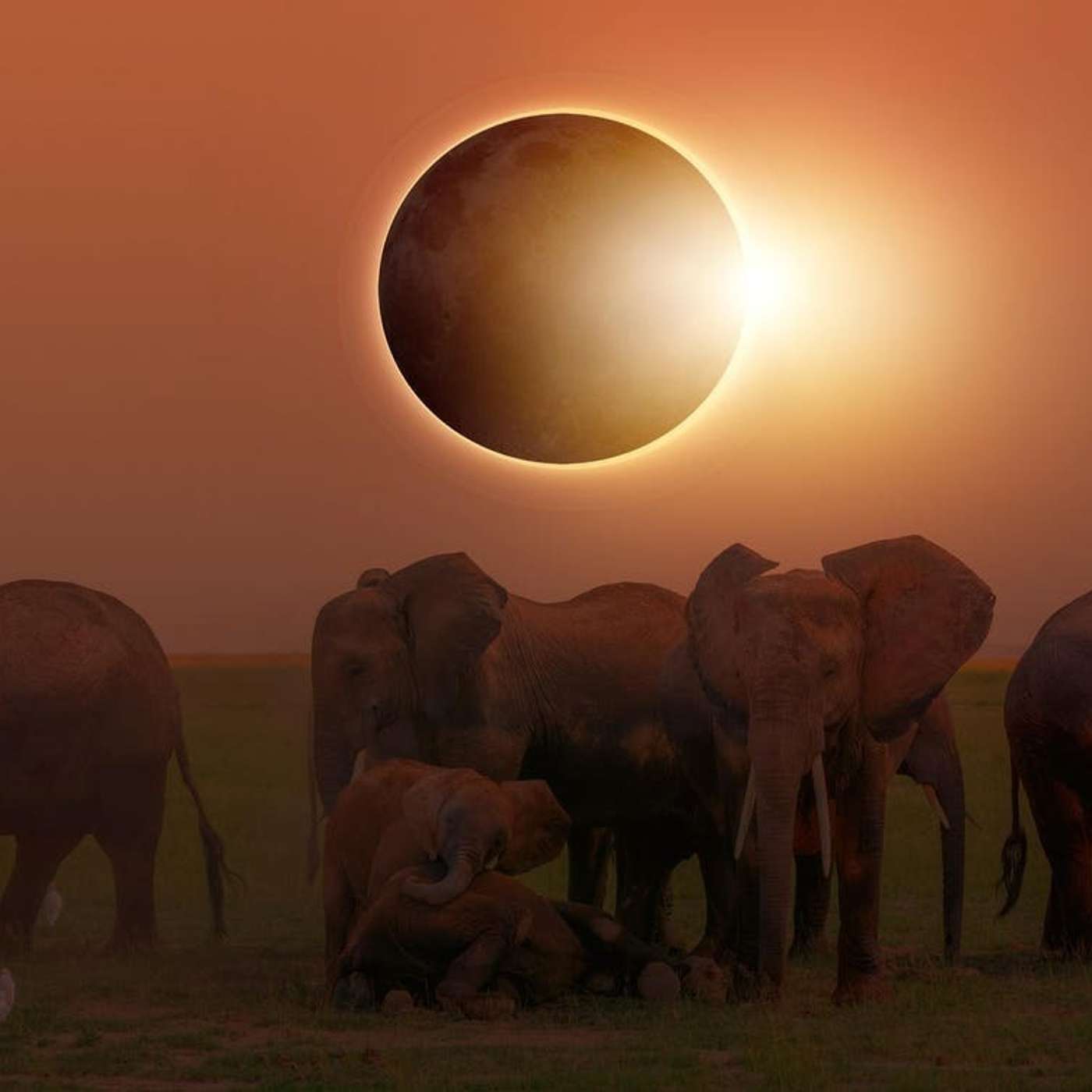 SpaceX Crew-7 Returns, 2024 Total Solar Eclipse, James Webb Telescope reveals Star Birth, New Zealand's Deep Sea Discoveries, and more...