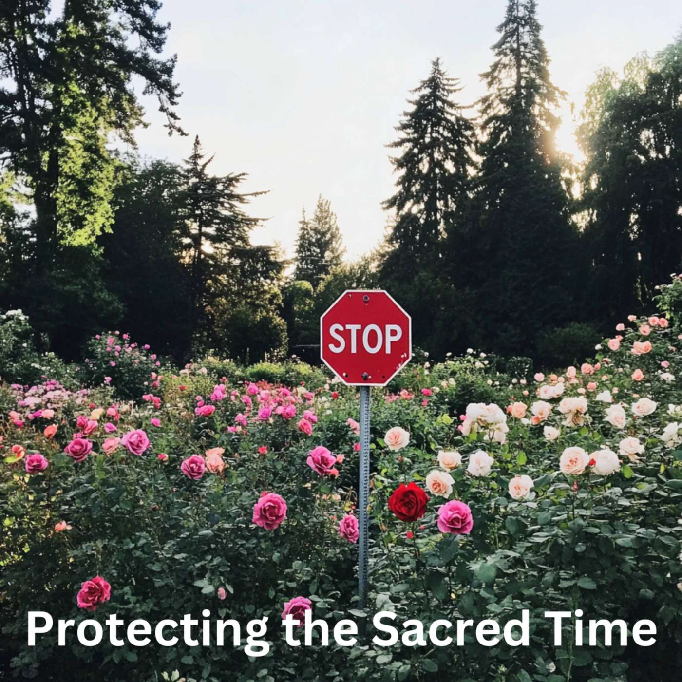 Day 61 - Protecting the Sacred Time episode artwork