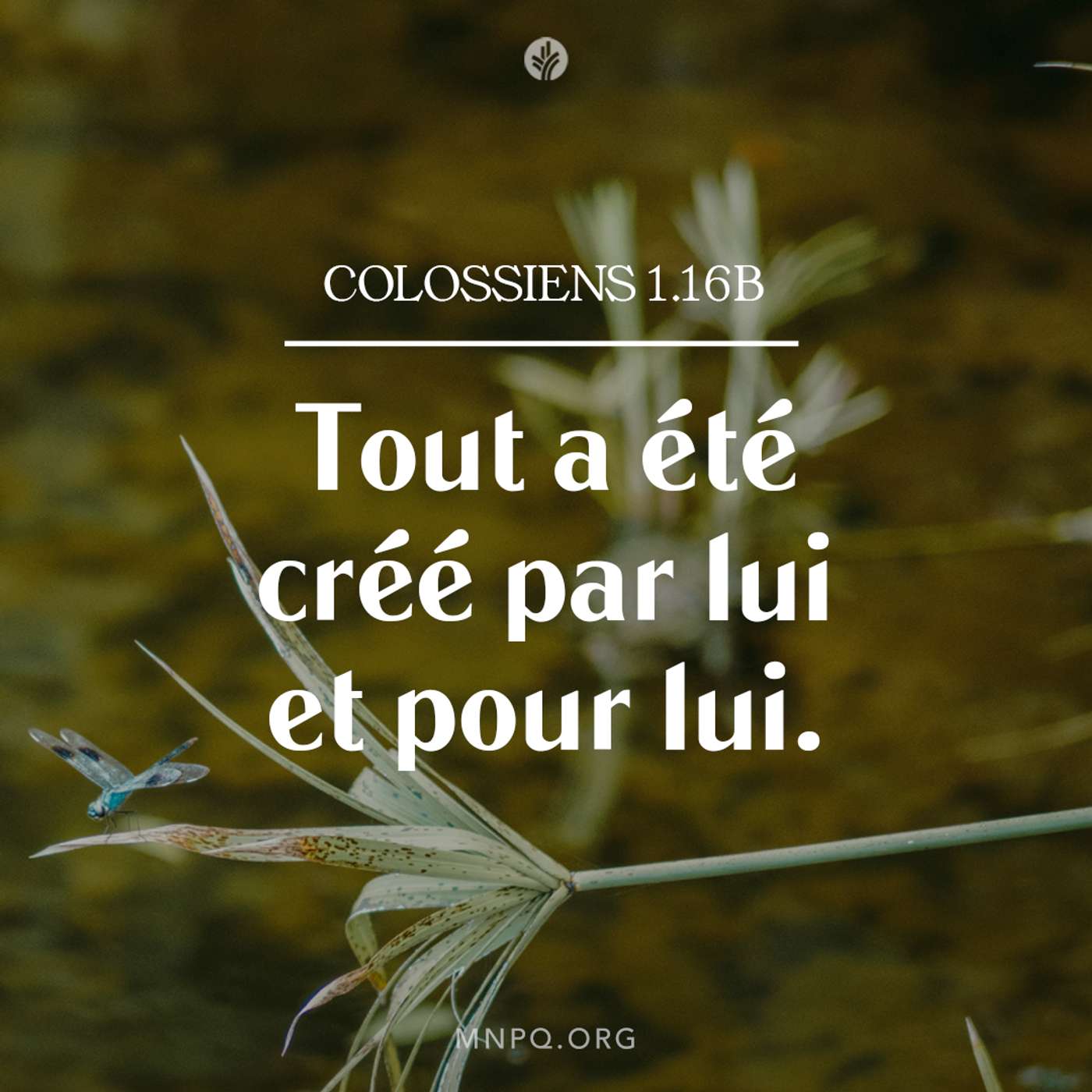 L’ouvrage de Dieu episode artwork