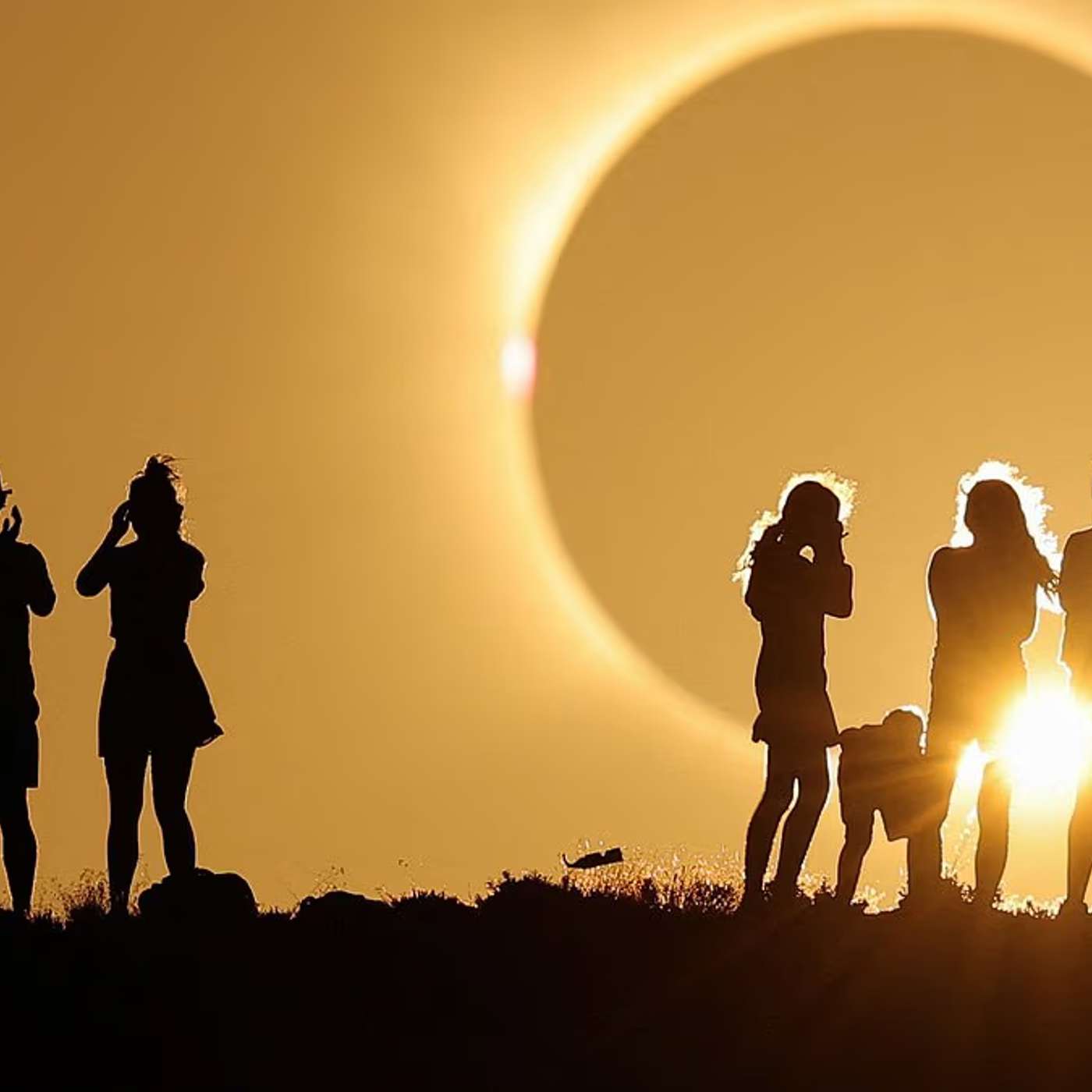 Europe Watches Solar Eclipse, Tiny Beetles Transform North America, UK Advances Drug Testing with Human Models, AI Framework Boosts Scientific Inference, and more...