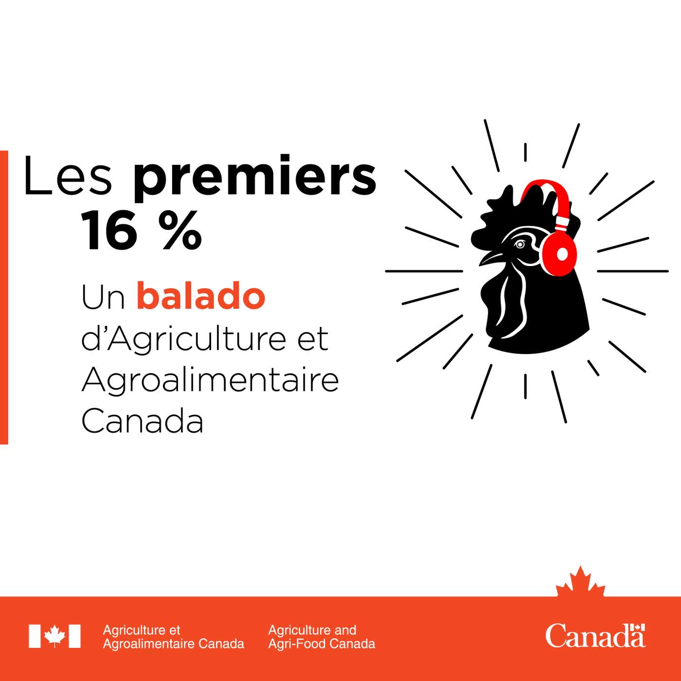 Les premiers seize pour cent