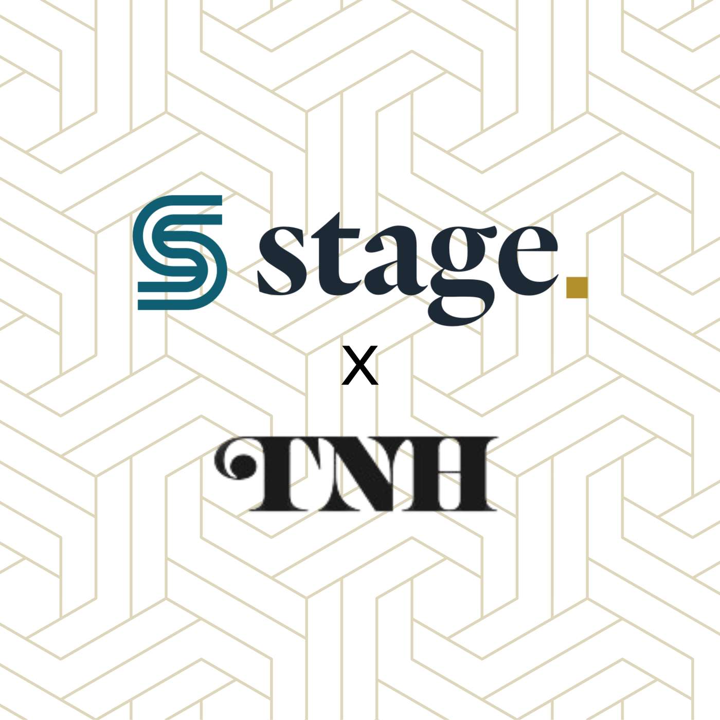 BONUS: A Reading by Stephanie Harrison